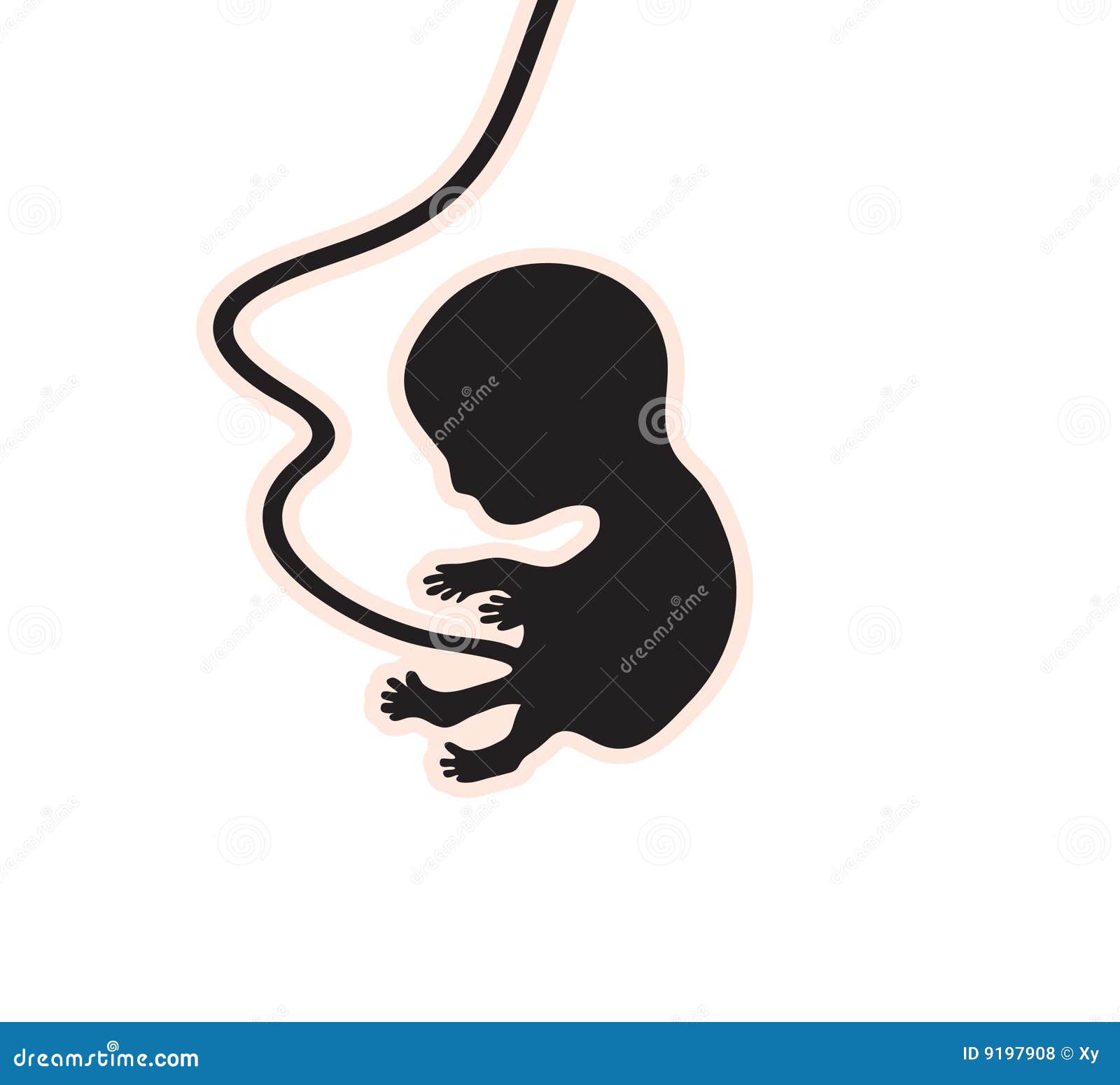 Embryo stock vector. Illustration of white, human, medical - 9197908
