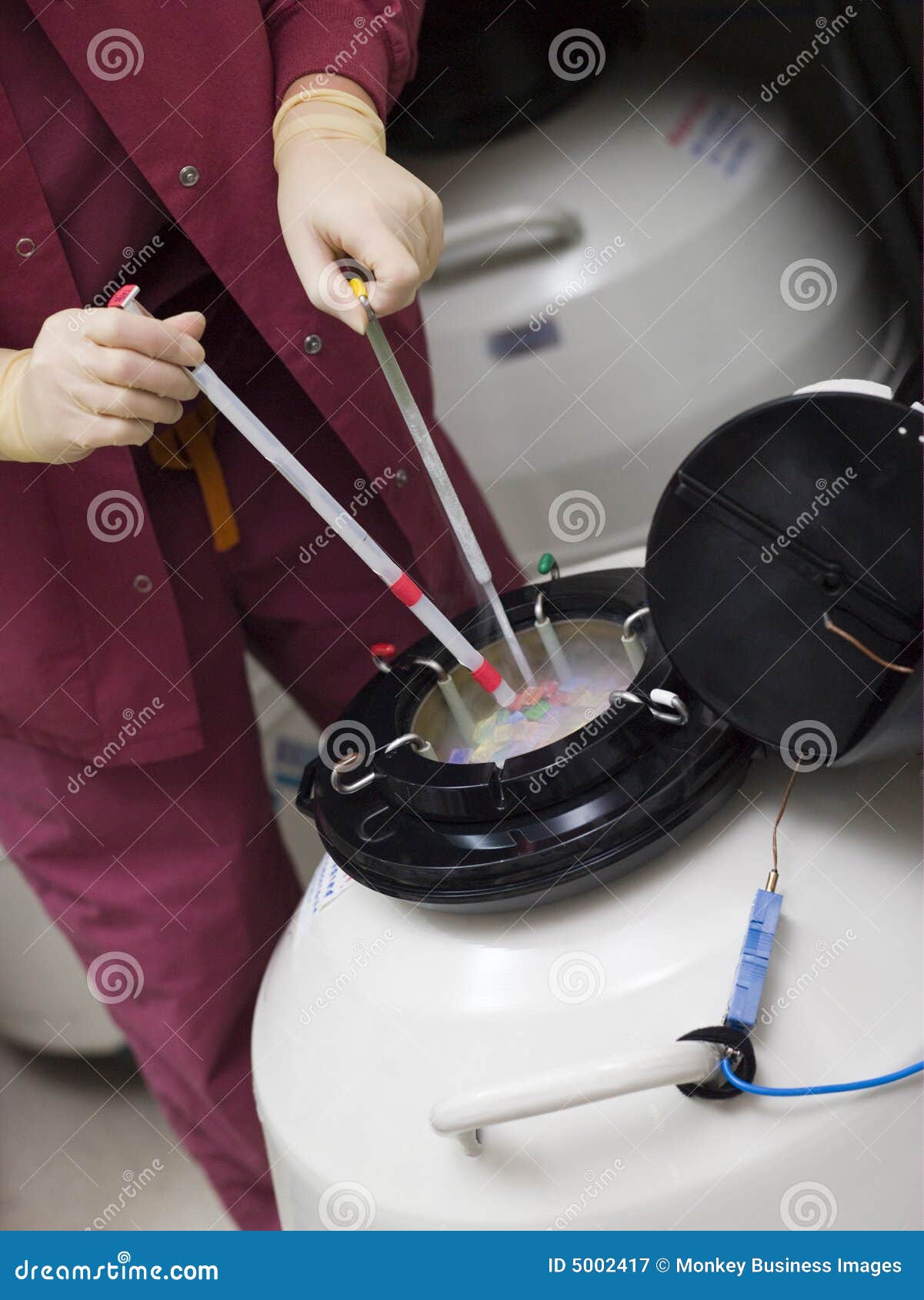 Embryologist Freezing Embryos for Storage Stock Image Image of