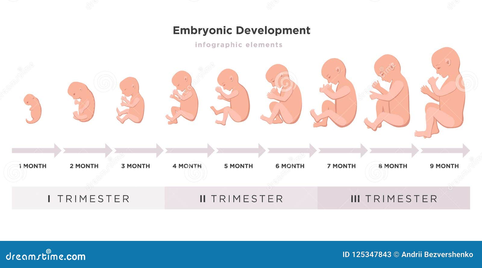 1 To 9 Months Baby Development