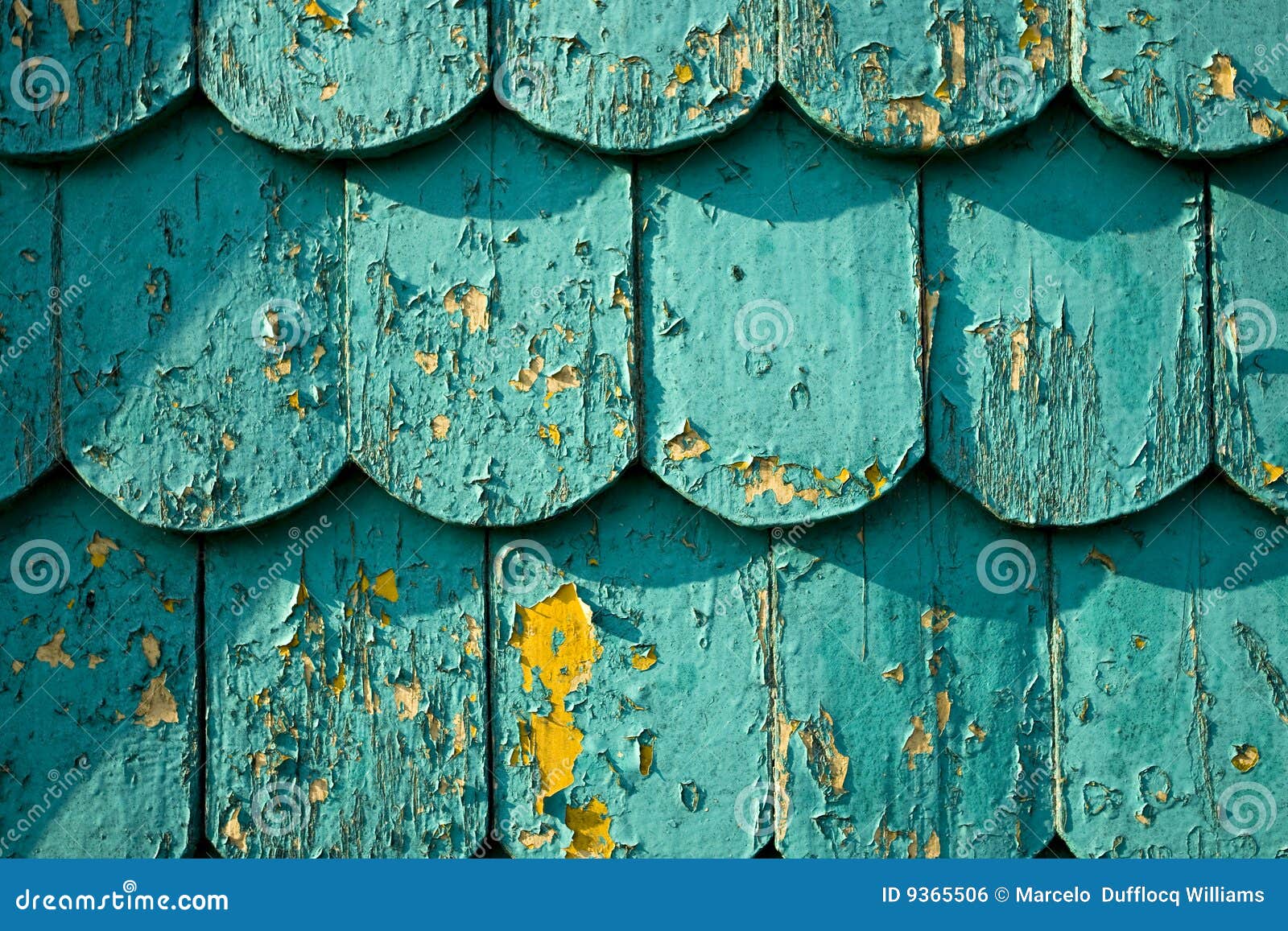 Emeral shingles stock photo. Image of background, emerald 9365506