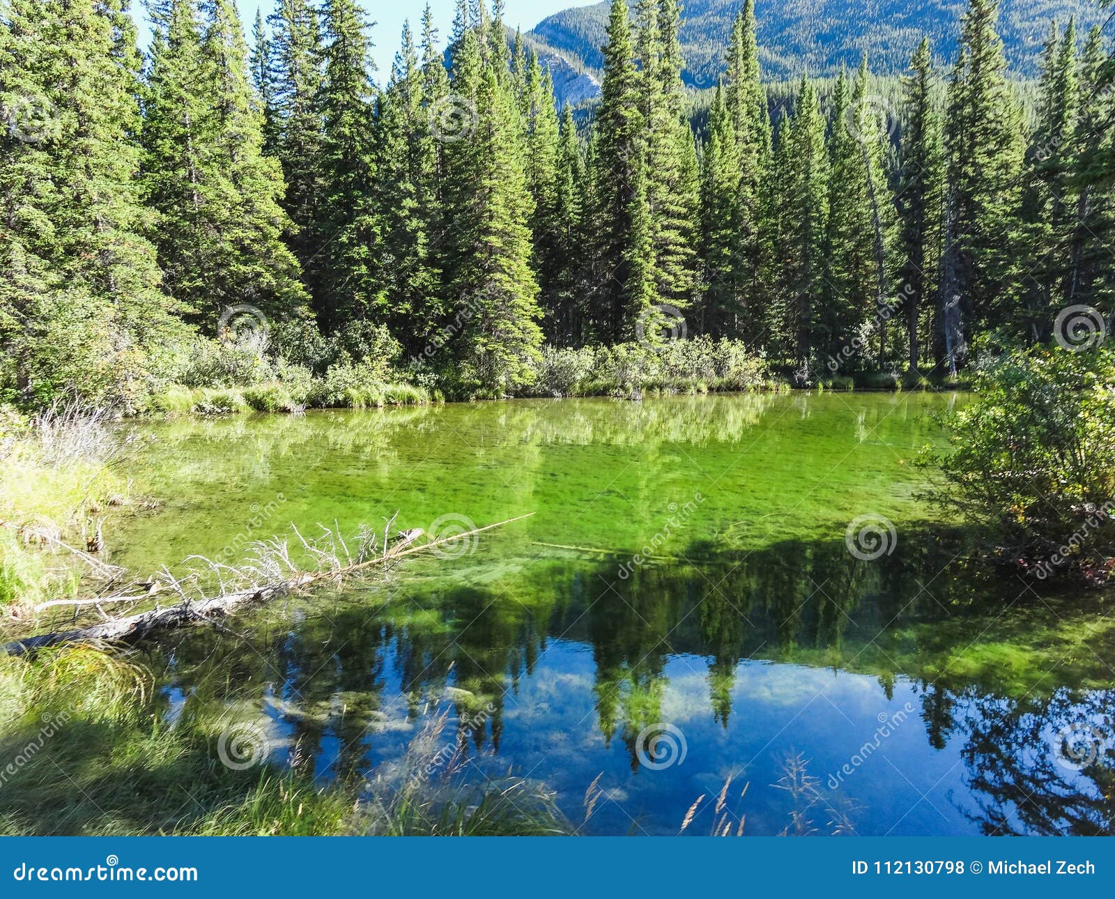 Emerald Lake In Banff National Park British Columbia Stock Photo