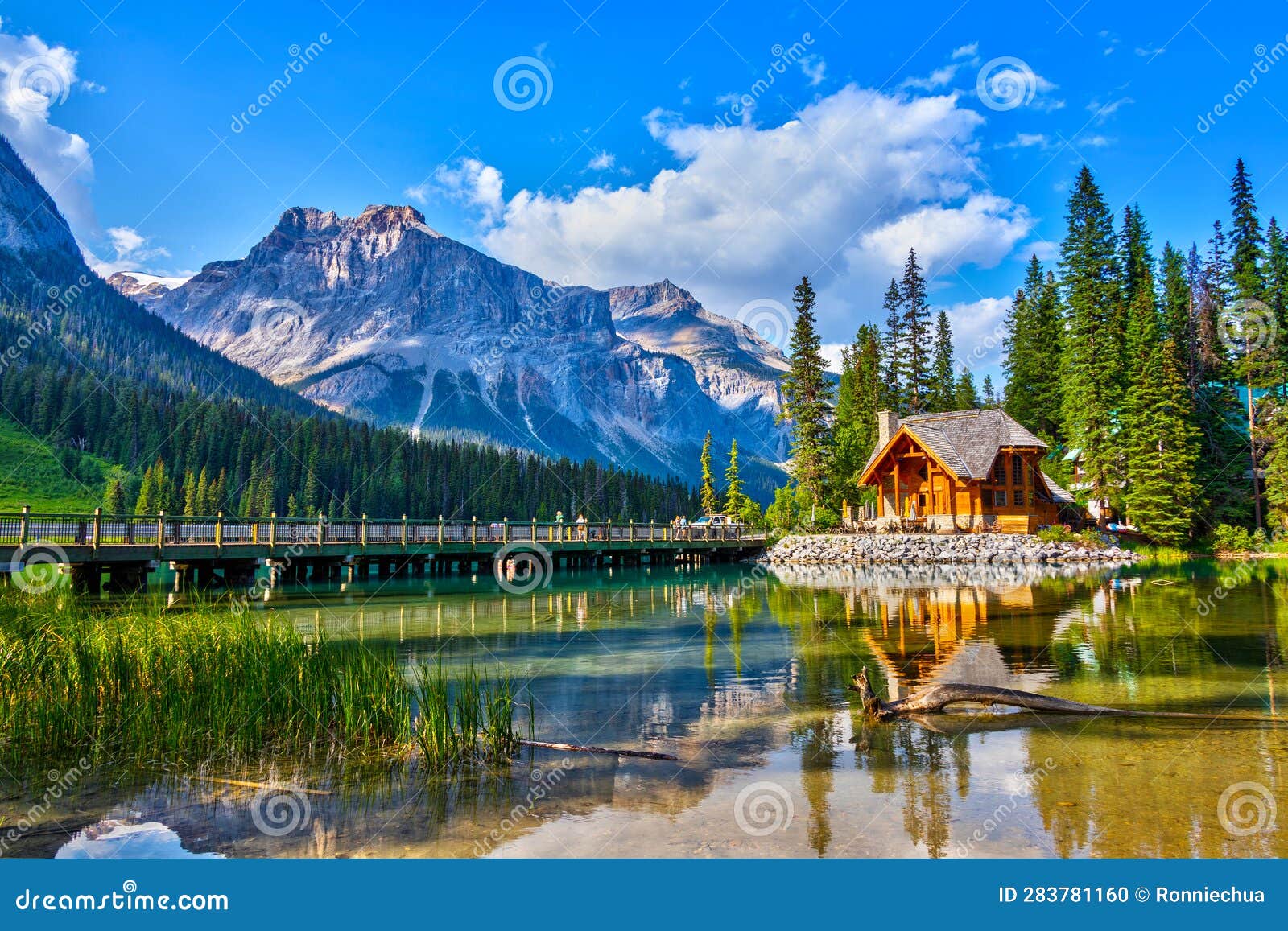 emerald lake in the canadian rockies of yoho national park, british columbia, canada