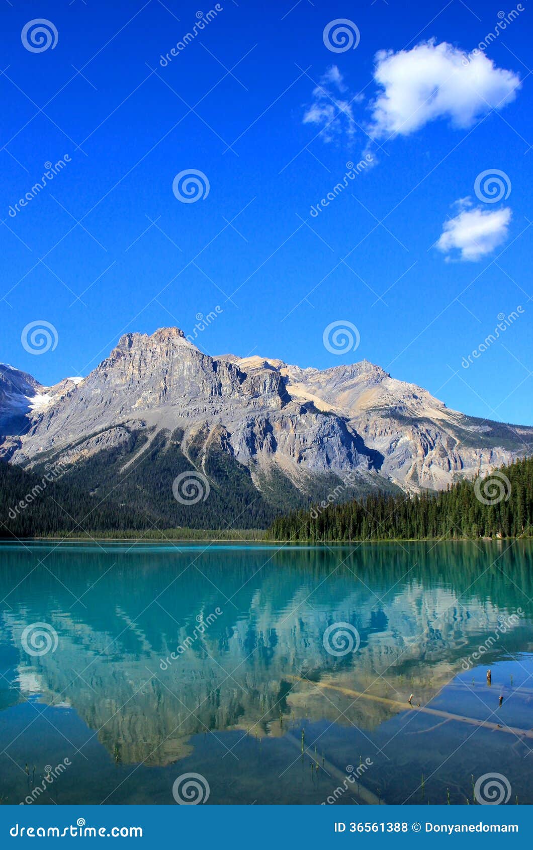 Emerald Lake Yoho National Park British Columbia Canada Stock Photo