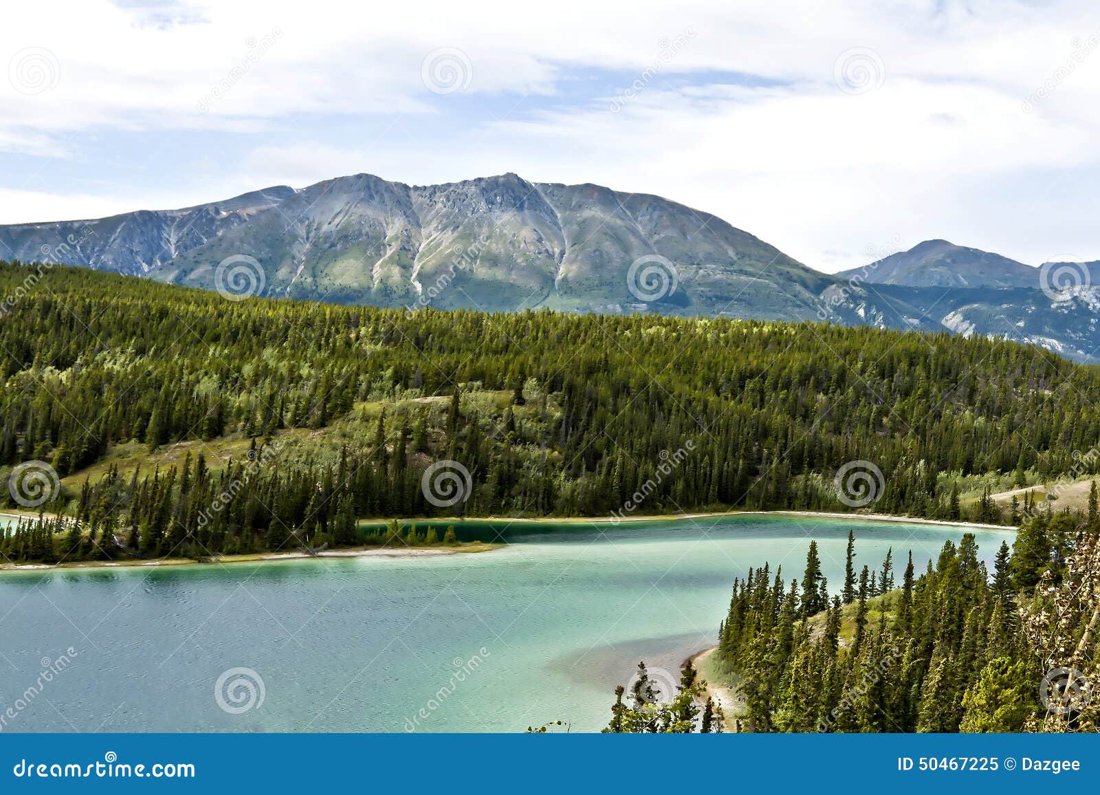 the emerald lake in yukon in canada