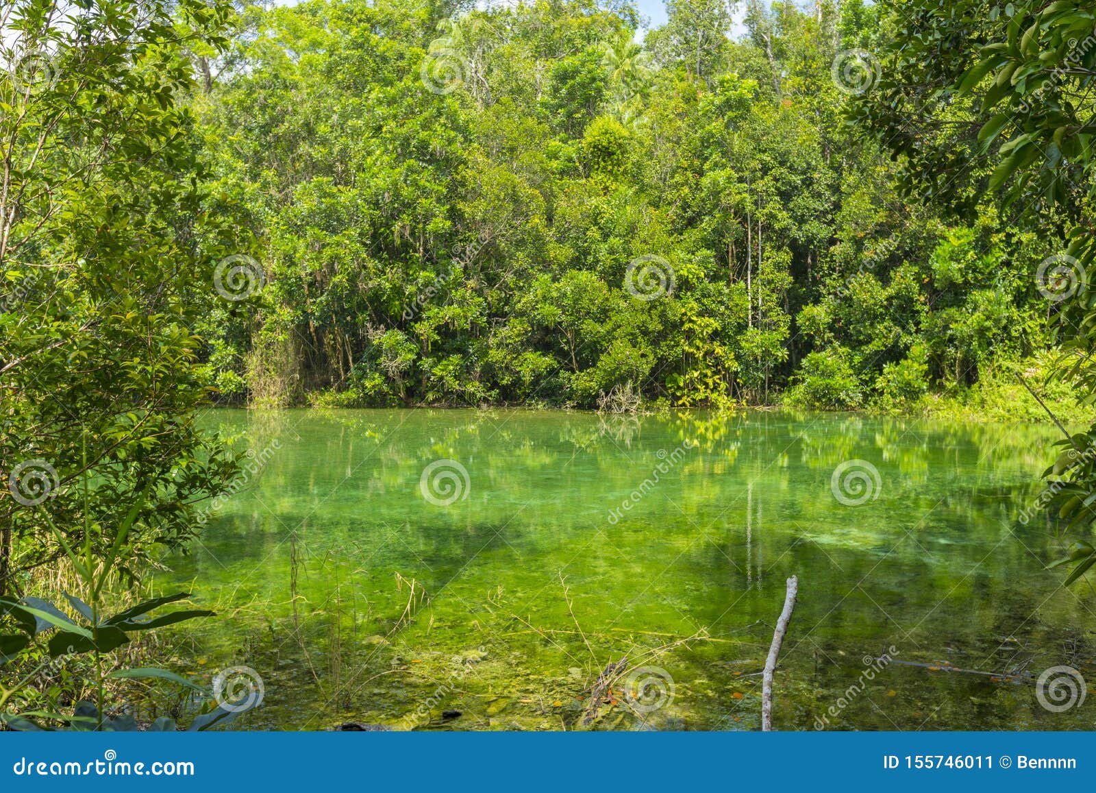 emerald pool sra morakot in krabi province, thailand.
