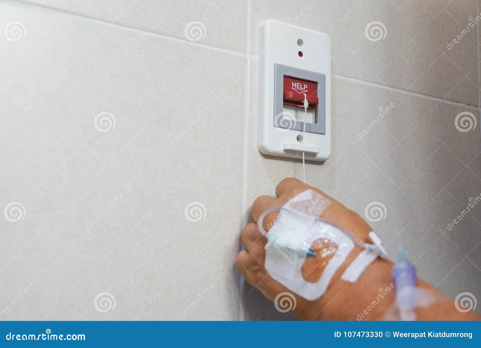 Emergency Help in the Toilet Stock Photo Image of bathroom, help