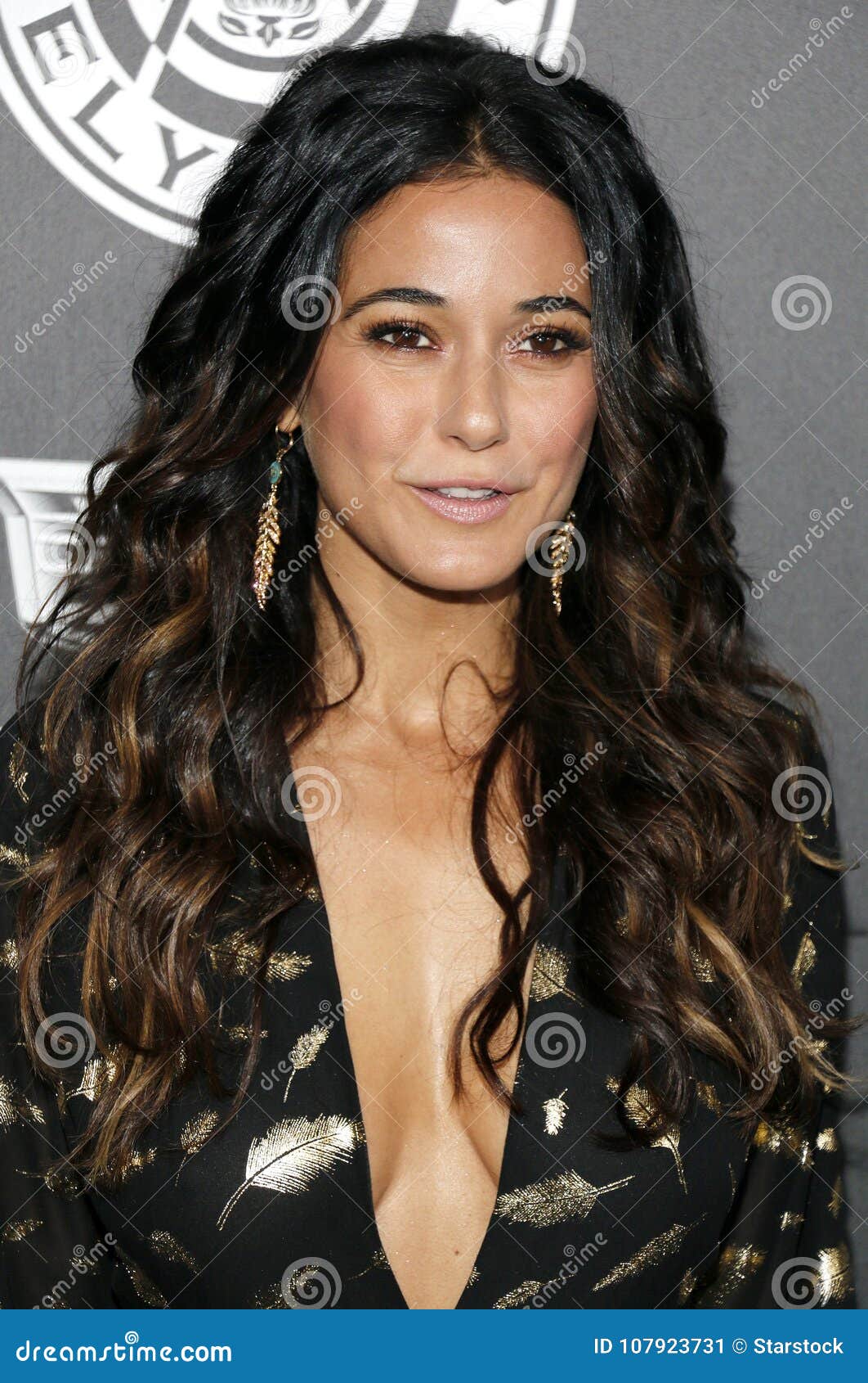 Pictures of emmanuelle chriqui