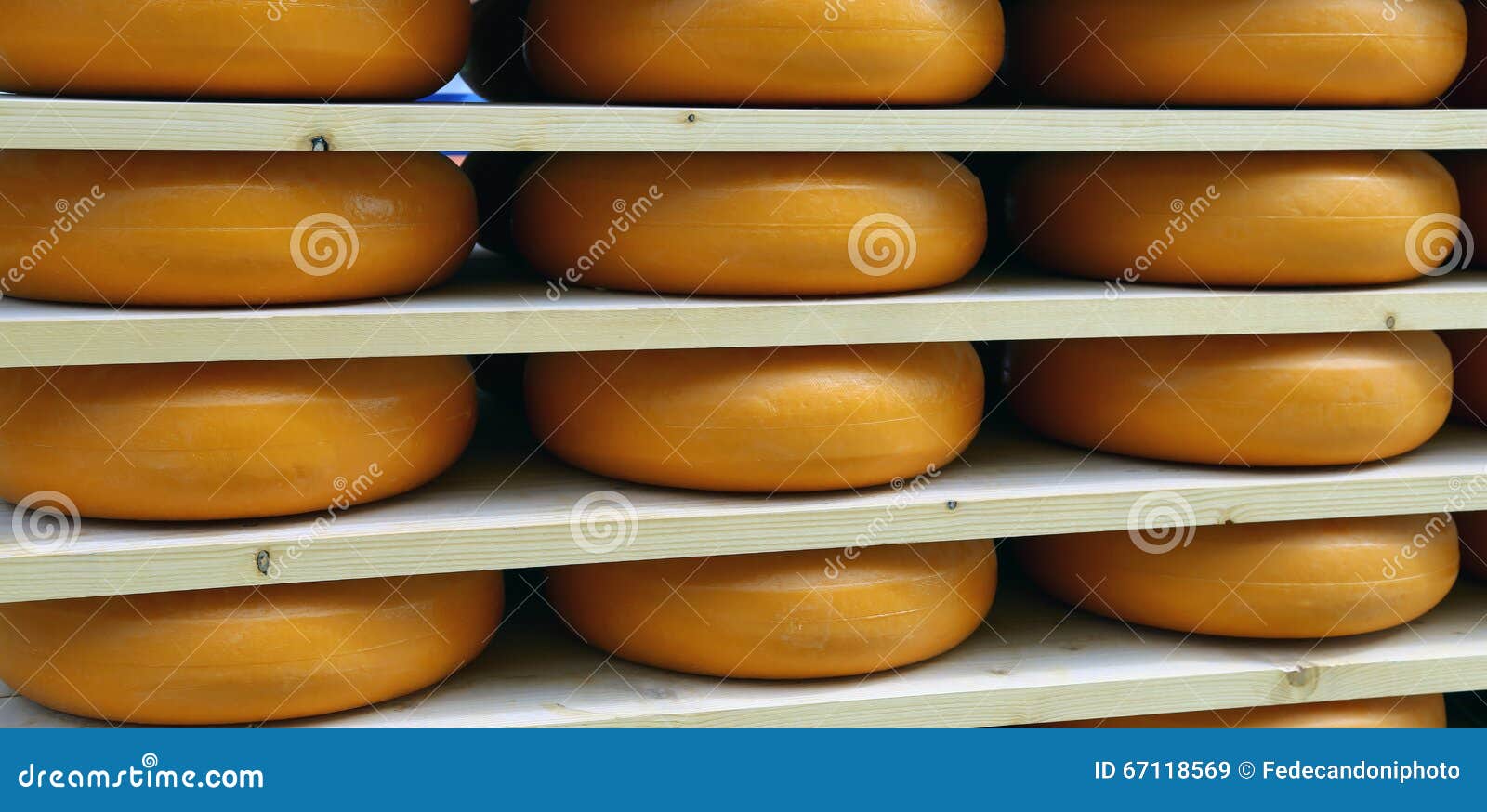 Emmental Cheese during Ripening in the Dairy Stock Image Image of holland, europe 67118569
