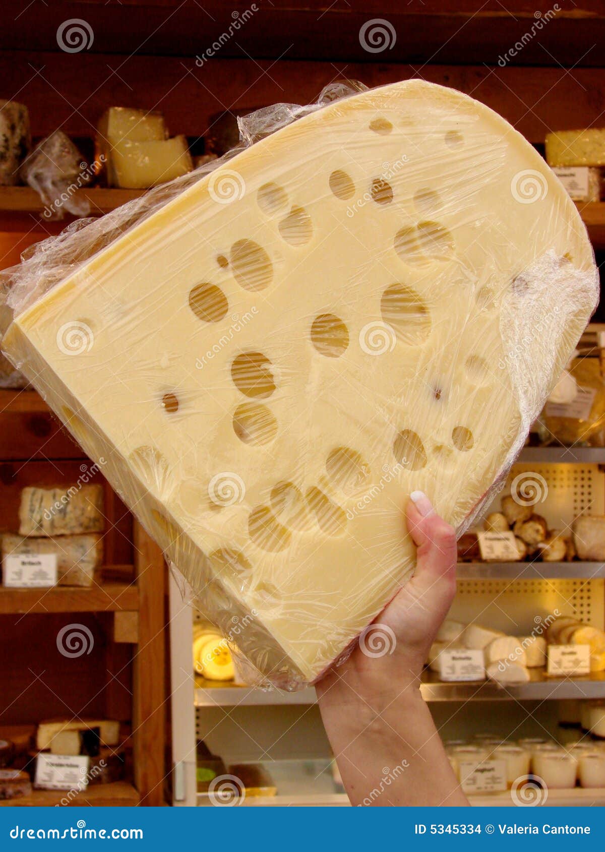 Emmenthal, Swiss cheese stock photo. Image of switzerland 5345334