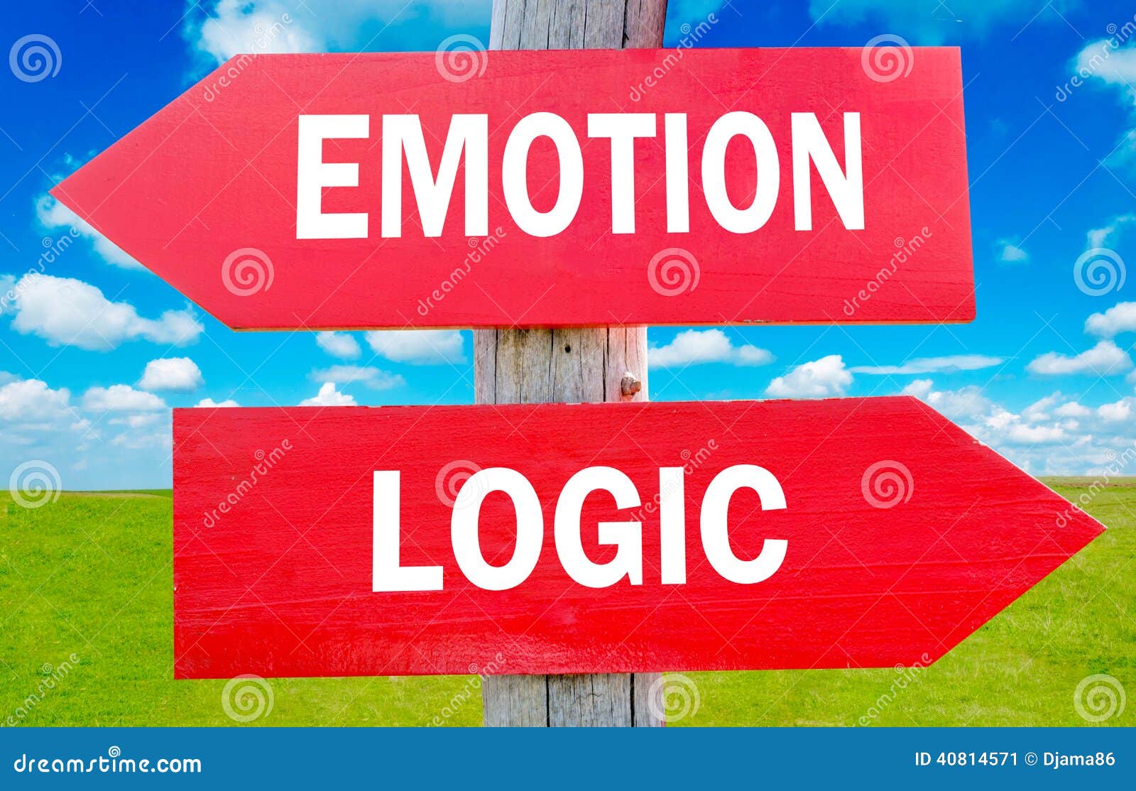 emotion and logic