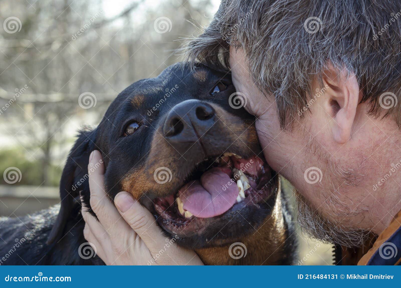 3,849 Dog Meeting Stock Photos - Free & Royalty-Free Stock Photos from  Dreamstime