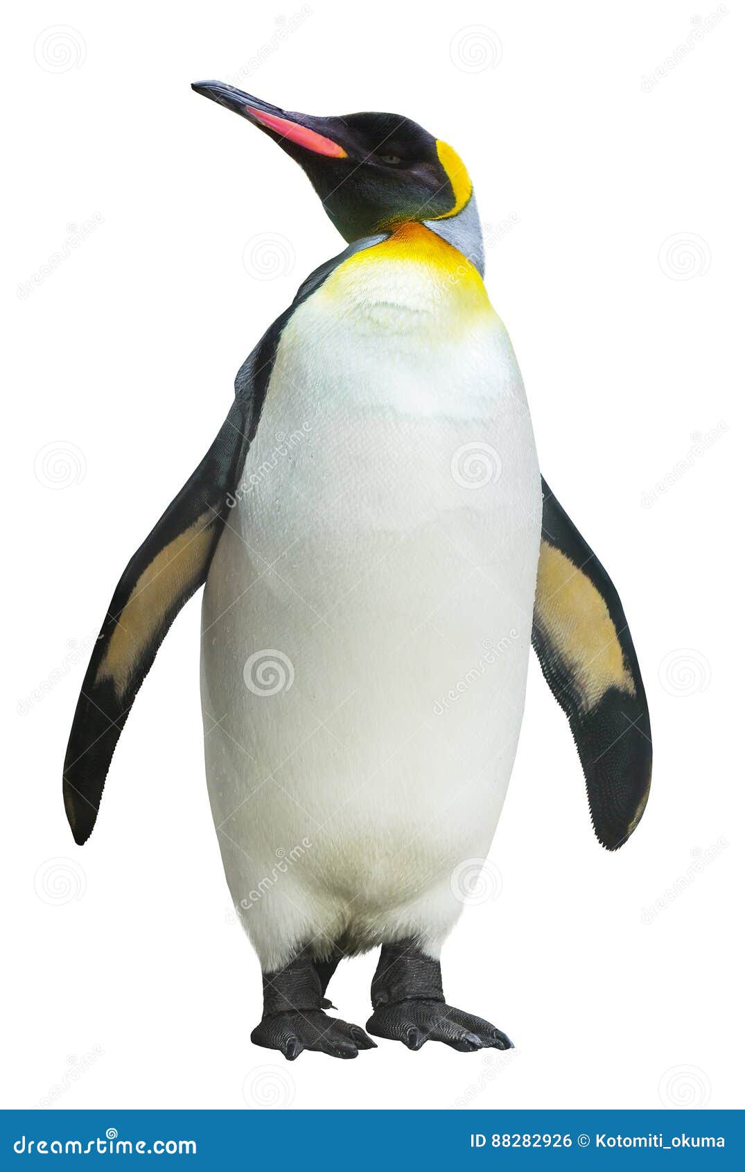 emperor penguin