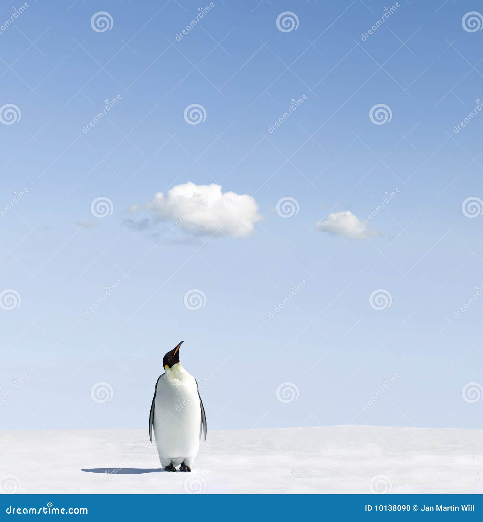 emperor penguin on snowfield