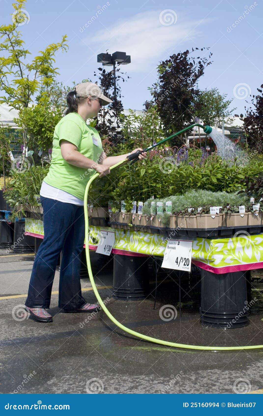 Employee Waters Plants stock photo. Image of center, nursery 25160994