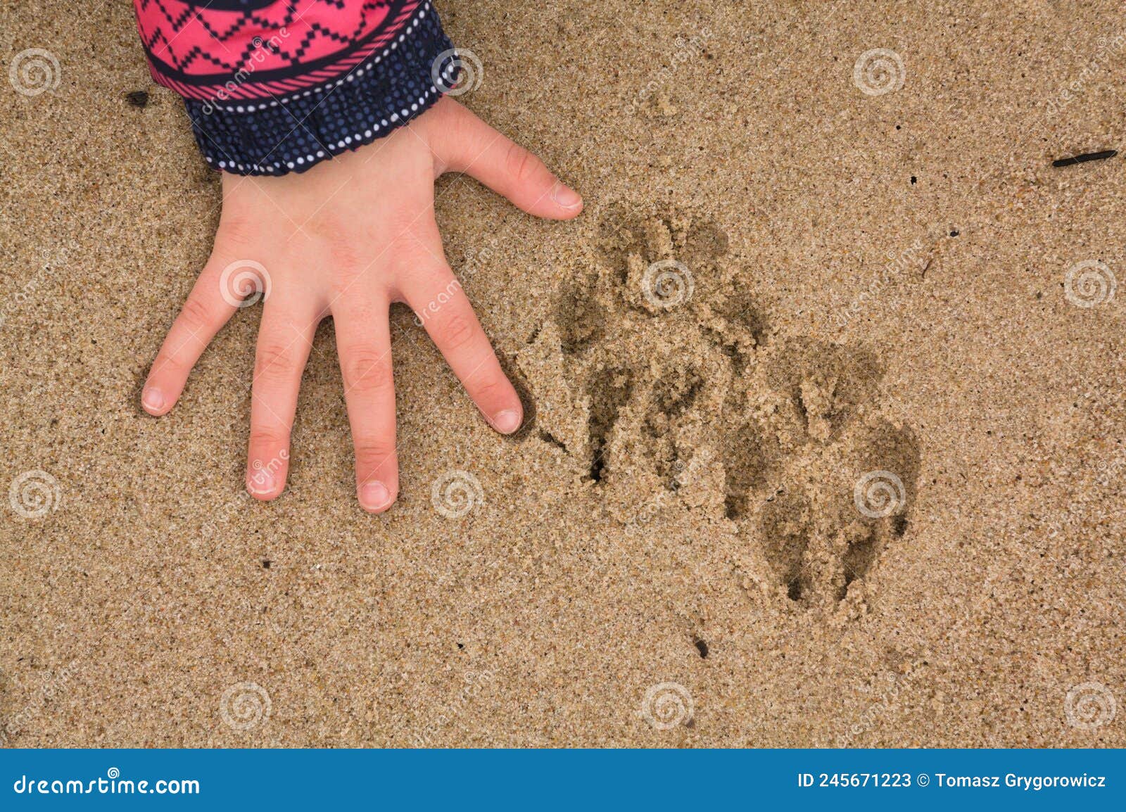 Empreinte De Chien Et Main D'enfant Sur La Plage Image stock - Image du  pied, vacances: 245671223