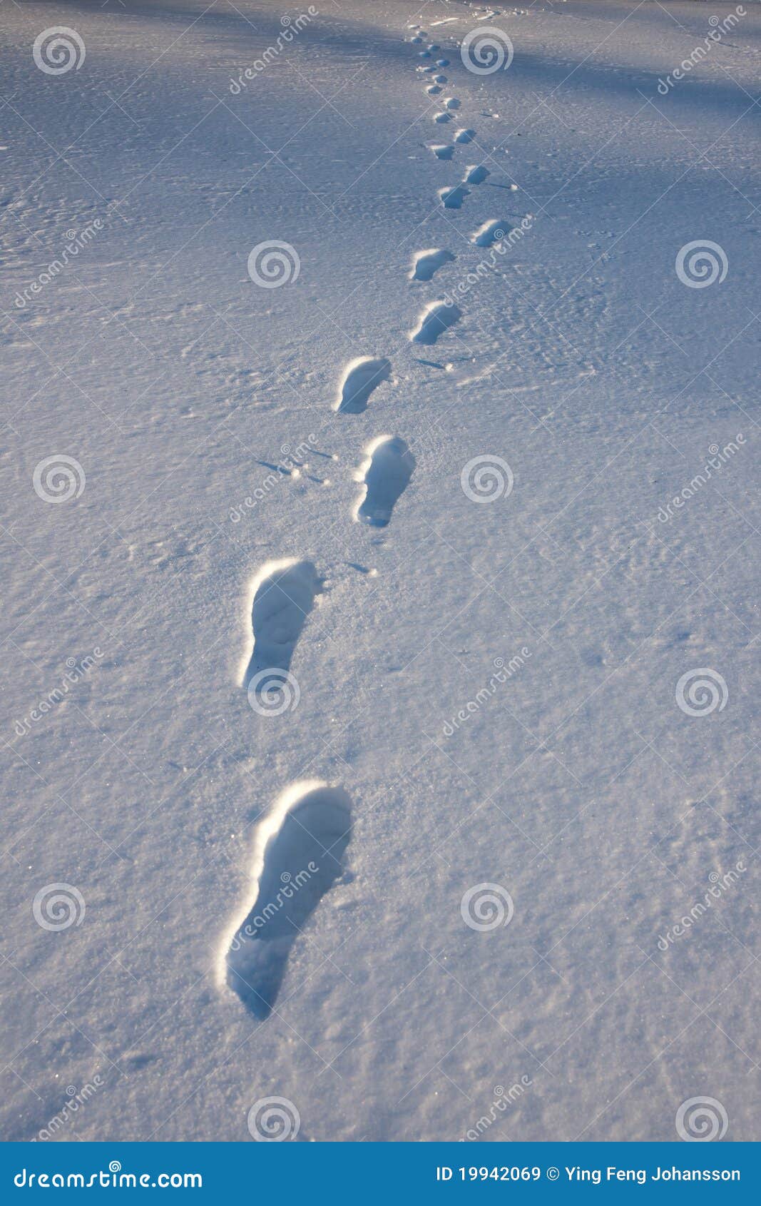 Empreintes De Pas Dans La Neige Image Stock Image Du Promenade Lointain