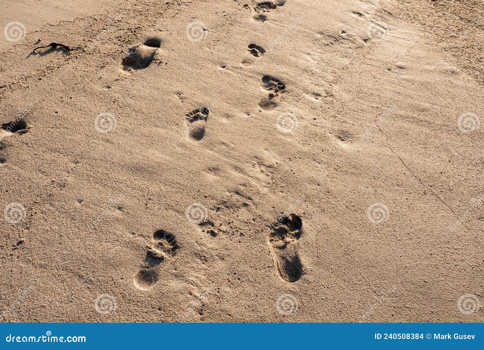 Empreintes De Pieds Pour Enfants Et Adultes Sur Une Surface De Sable  Chaude. Journée En Famille Sur Un Concept De Plage. Journée E Photo stock -  Image du extérieur, sélecteur: 240508384