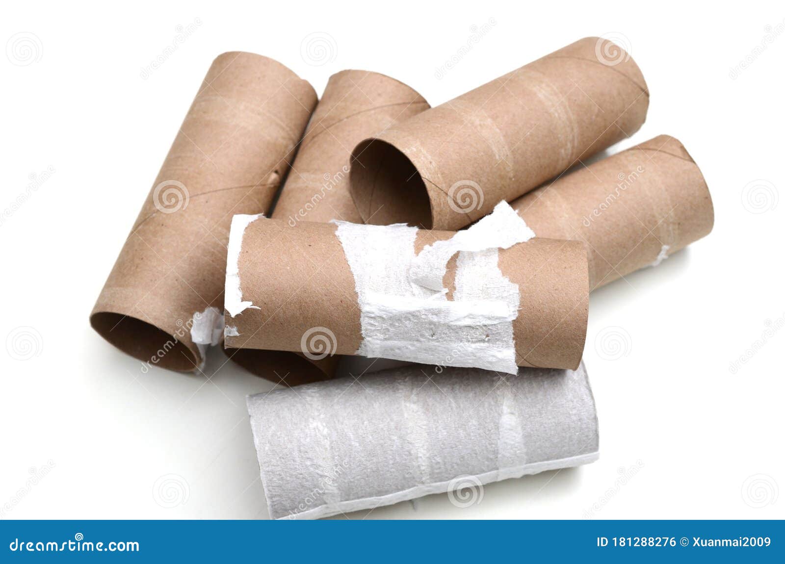 emptiness bath tissues or  toilet paper rolls