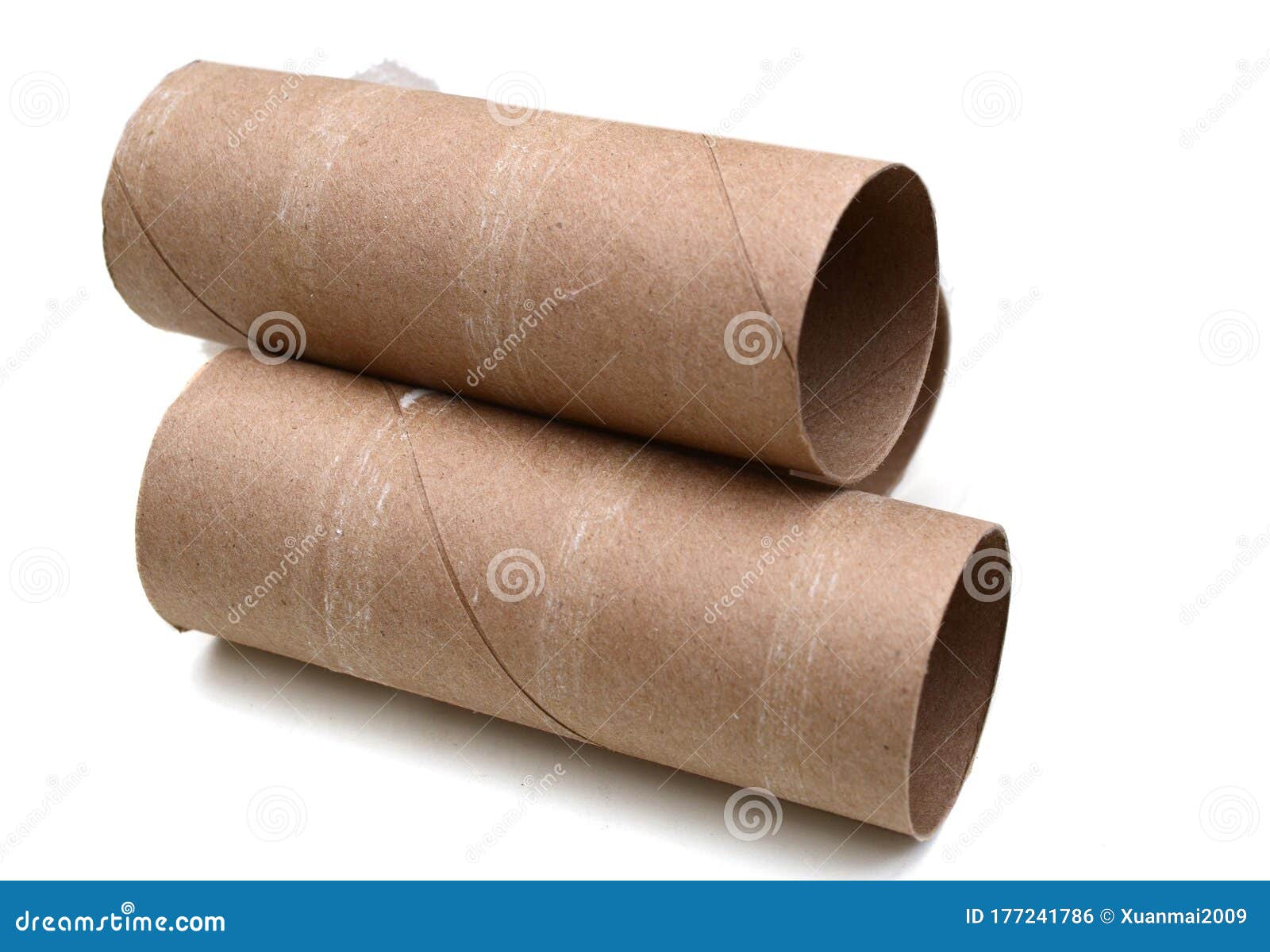 emptiness paper toilet rolls  on white background