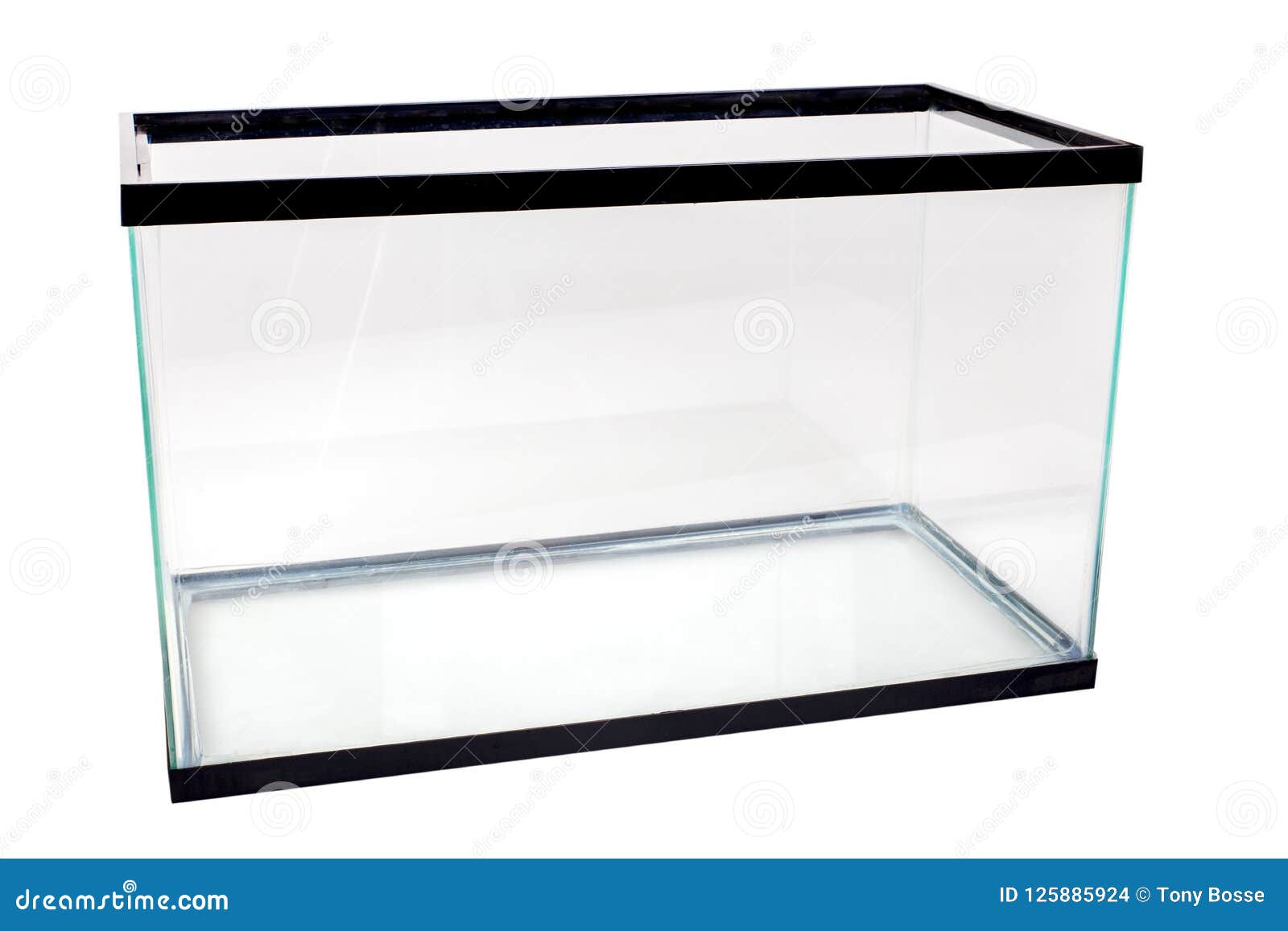Empty Aquarium Tank stock photo. Image of nautical, aquarium - 125885924