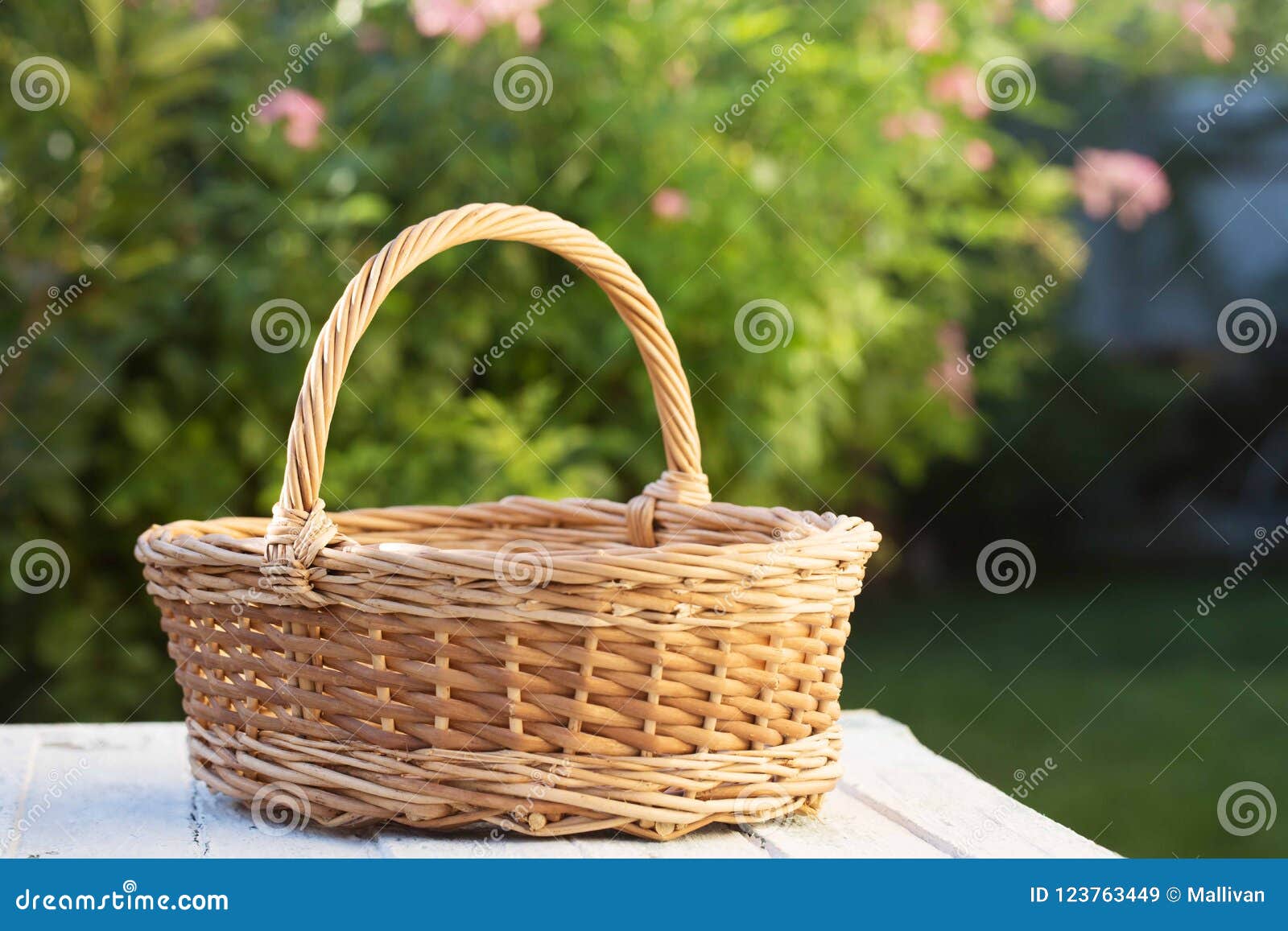 Empty basket in the garden stock image. Image of decoration 123763449