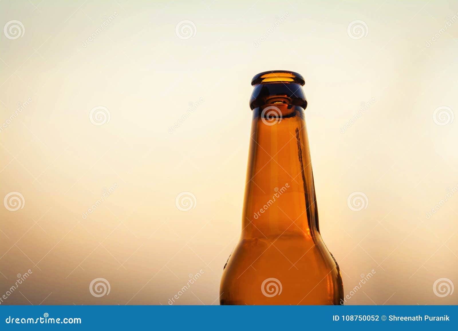 Empty beer bottle stock photo. Image of glass, empty 108750052