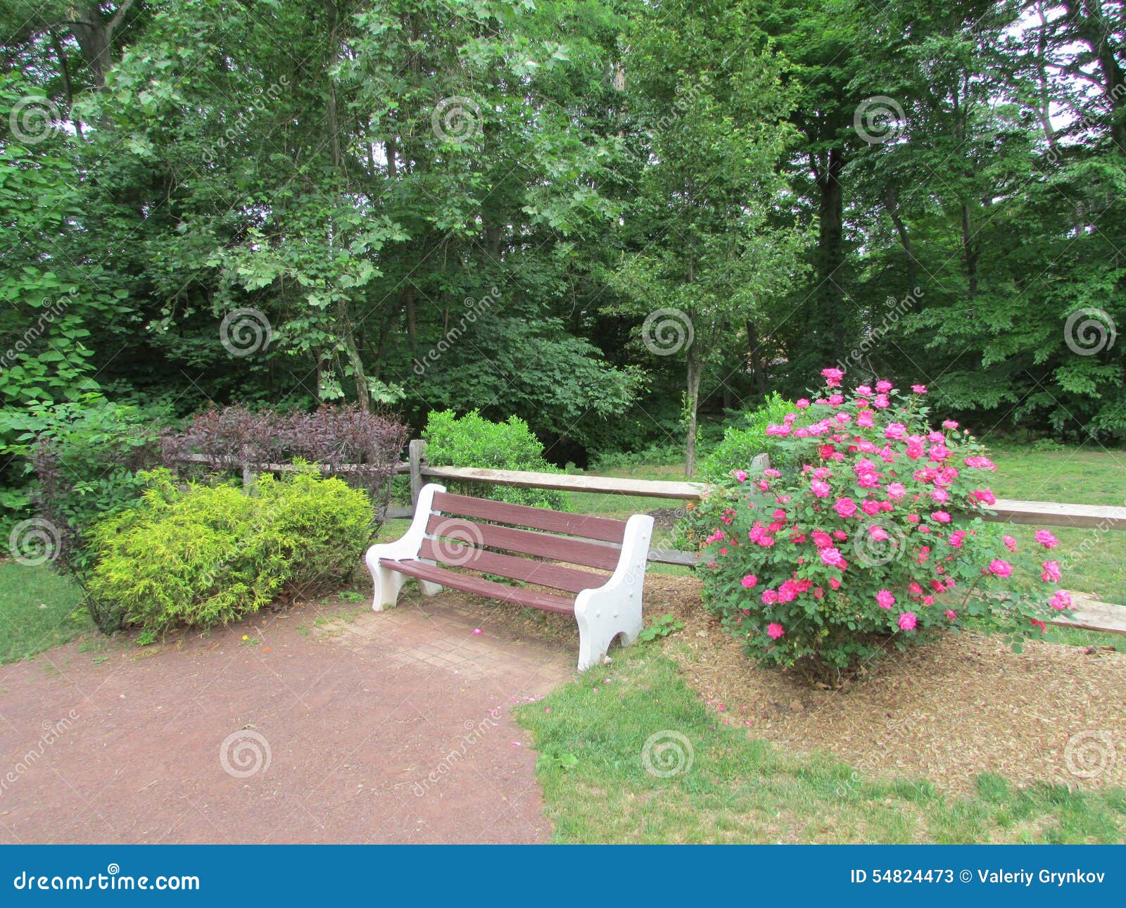 Empty Bench At Butterfly Garden In Roosevelt Park Edison Nj Usa