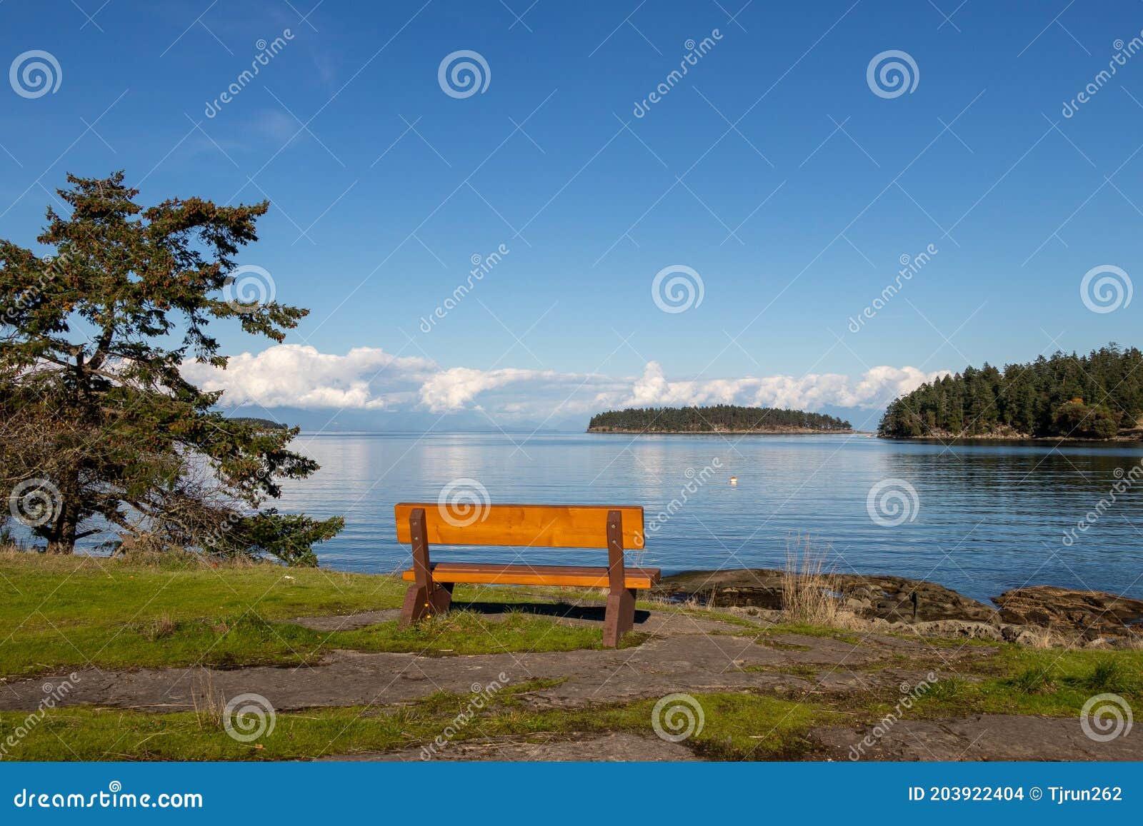 empty bench with view of the ocean