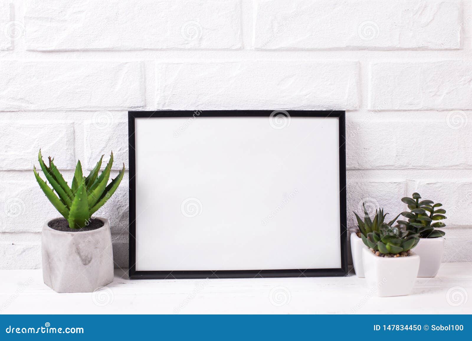Download Empty Black Frame Mockup And Succulents And Cactus Plants ...