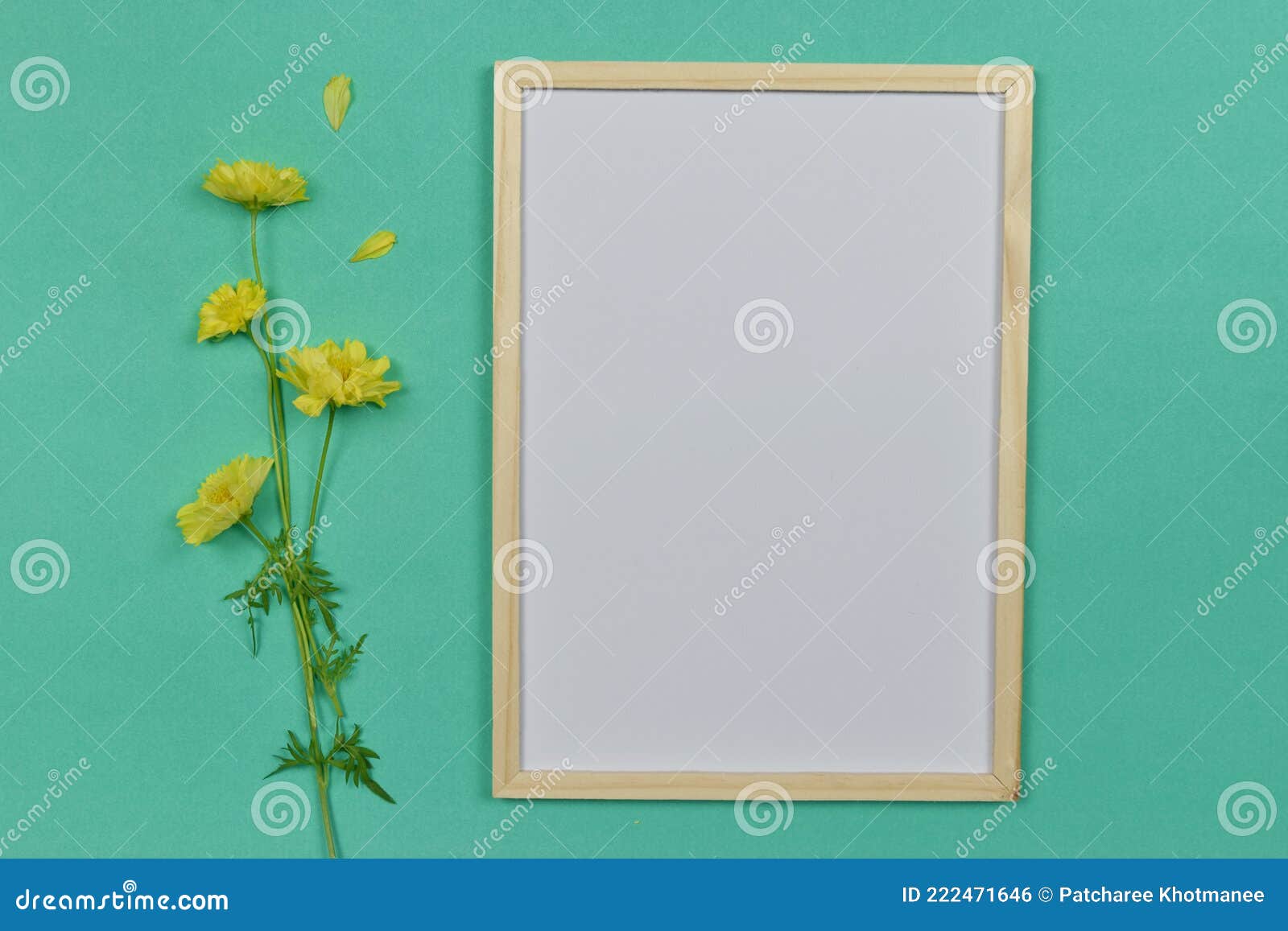 Empty Blank Photo Paper Frame with Yellow Flower Stock Photo Image of