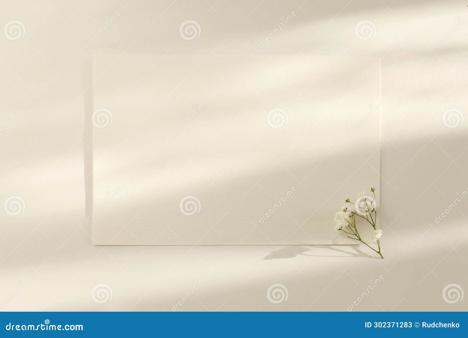 empty blank texture canvas paper card with copy space for your text message and gypsophila flower. light and shadows minimalism