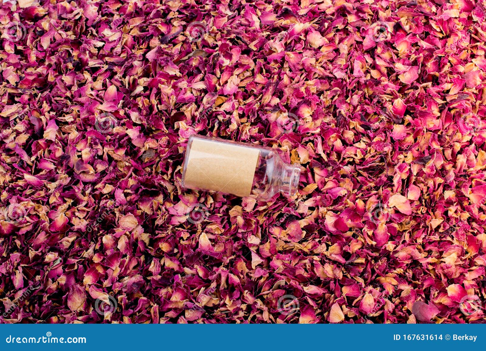 Empty Bottle on Dry Rose Petal Background Stock Photo Image of petal