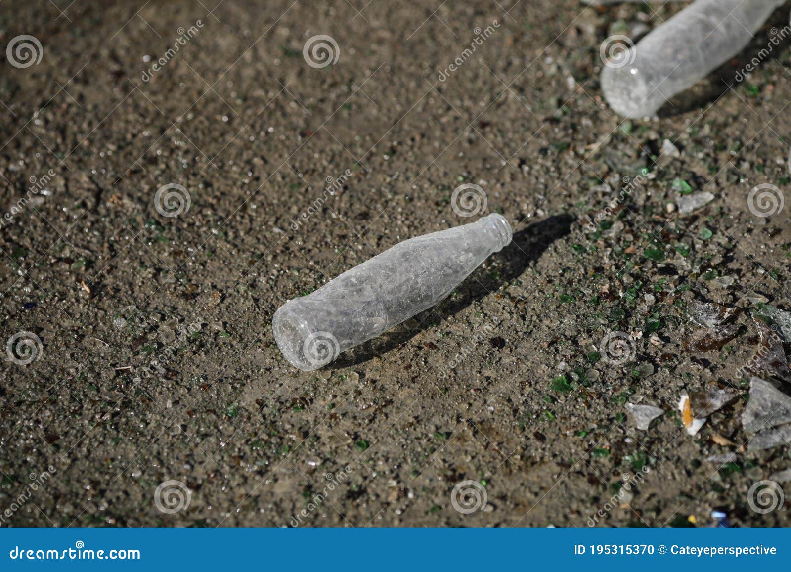 Empty Bottles in a Glass Recycling Facility Stock Photo Image of