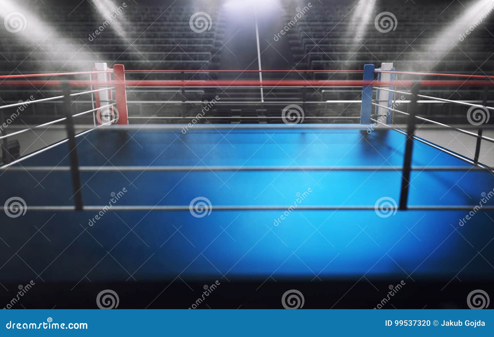 Empty boxing arena in the light of a spo... | Stock Video | Pond5