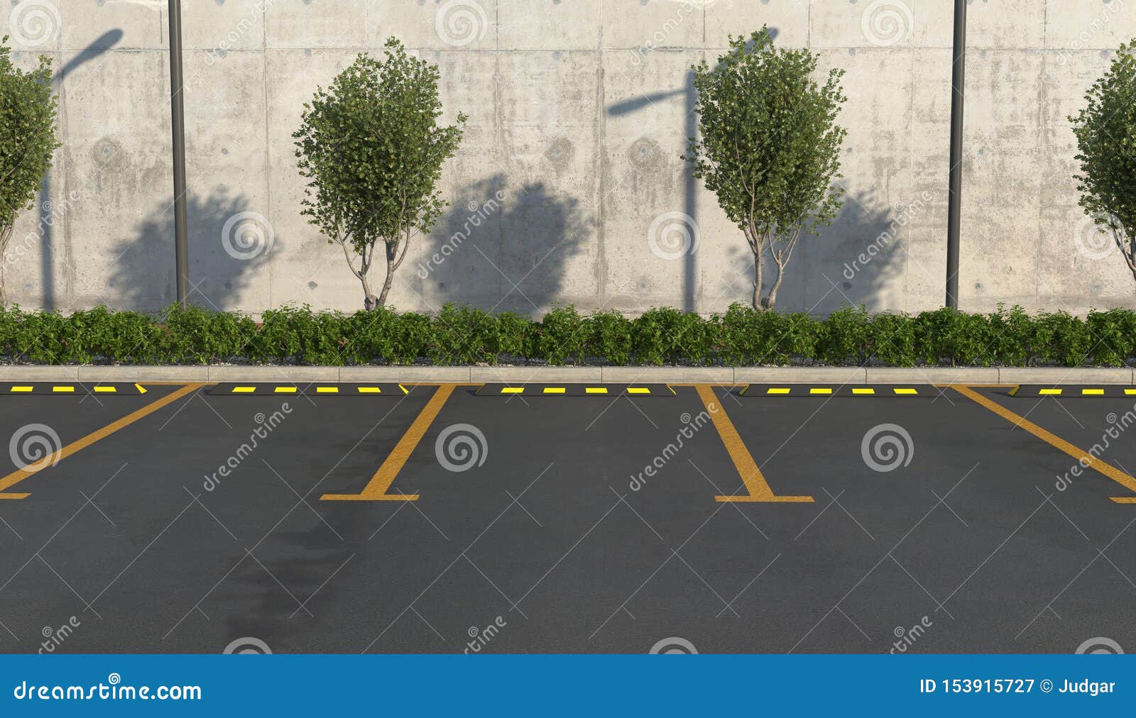 empty car parking without cars. parking spaces, sidewalk for pedestrians with flower bed.