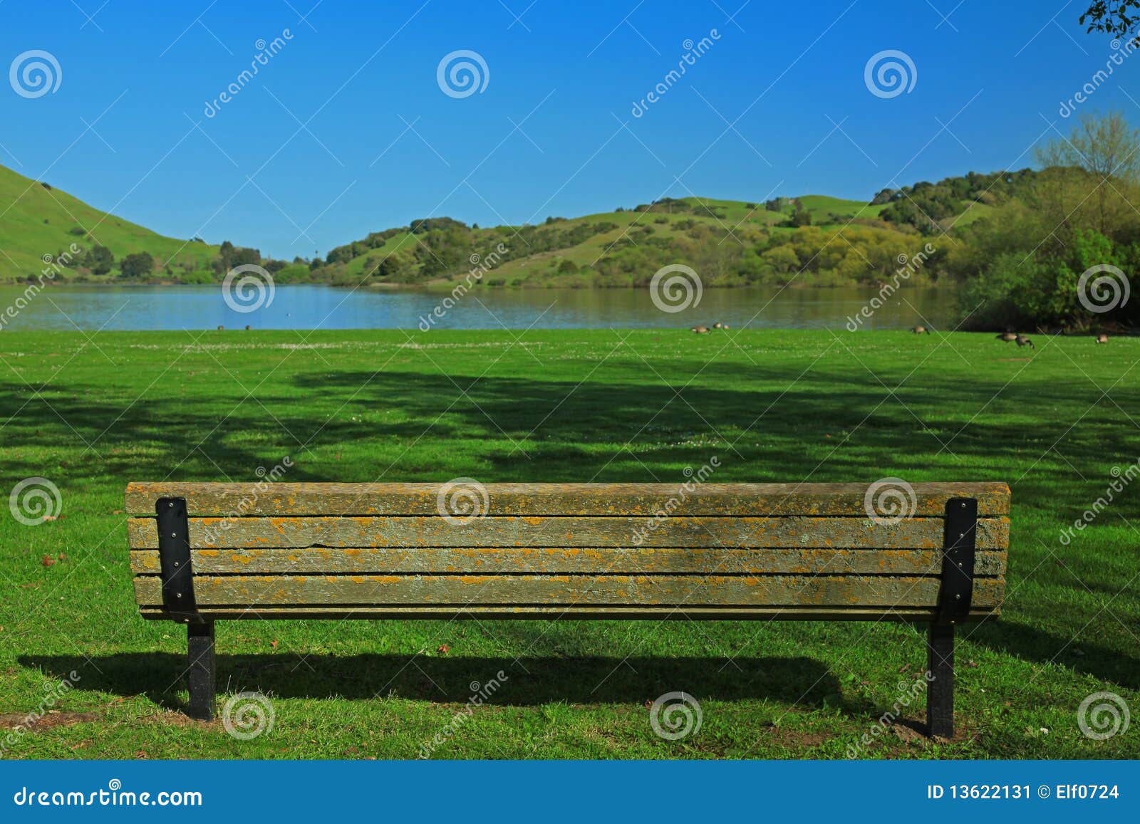 Empty Chair & Nature Background Stock Image - Image of ecology, horizontal:  13622131