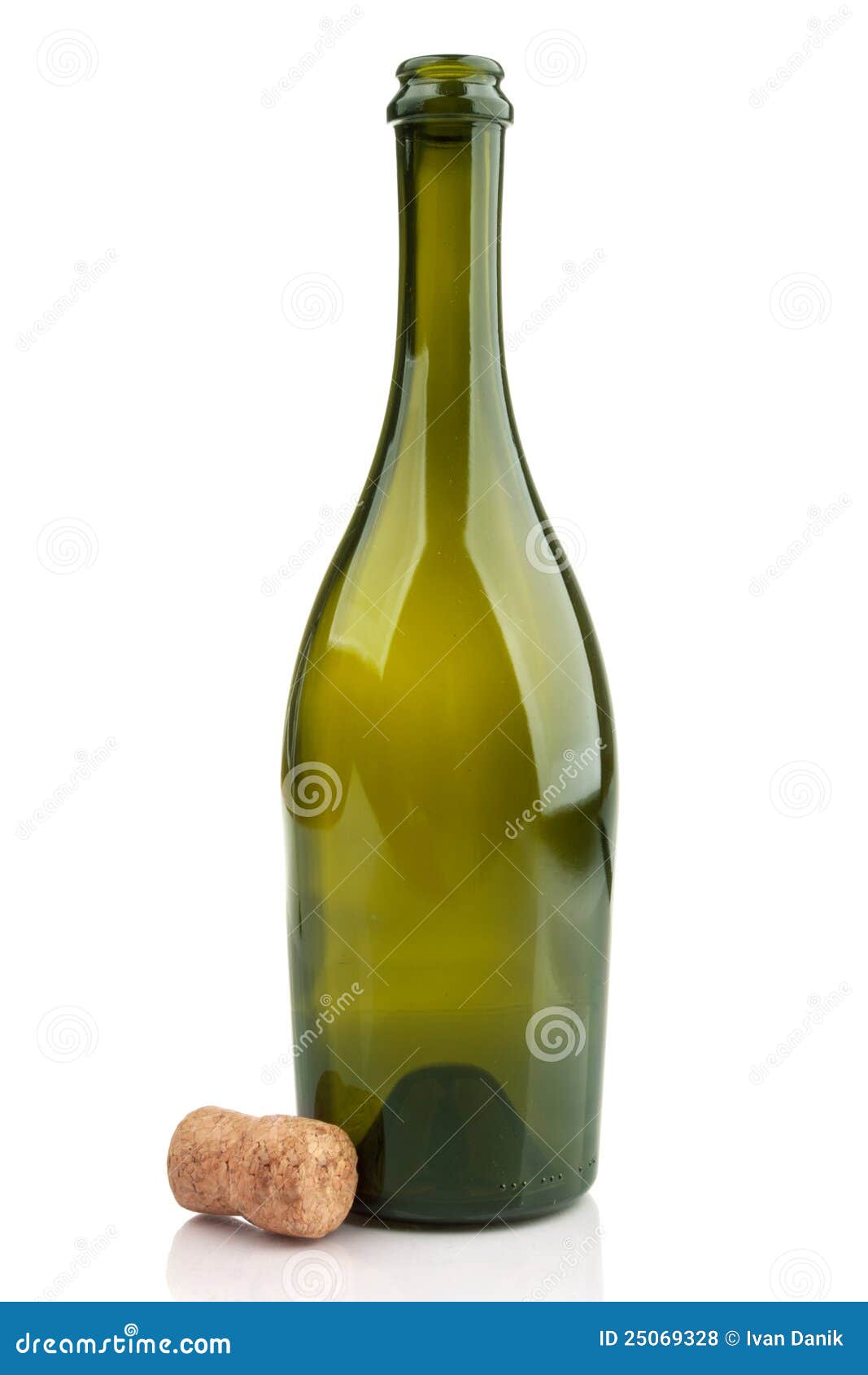 Empty champagne bottle stock photo. Image of container 25069328