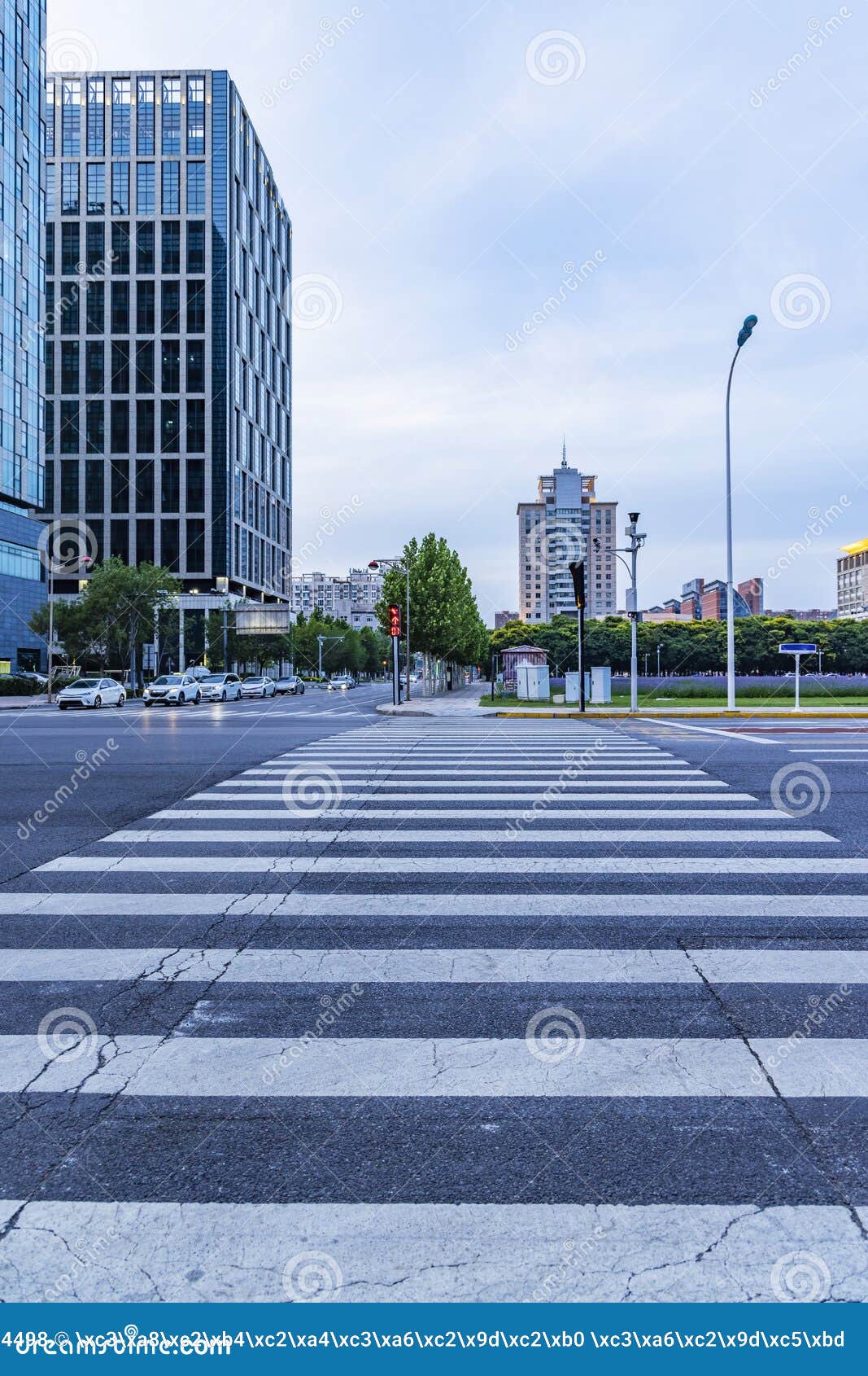 29,500+ Zebra Crossing Stock Photos, Pictures & Royalty-Free