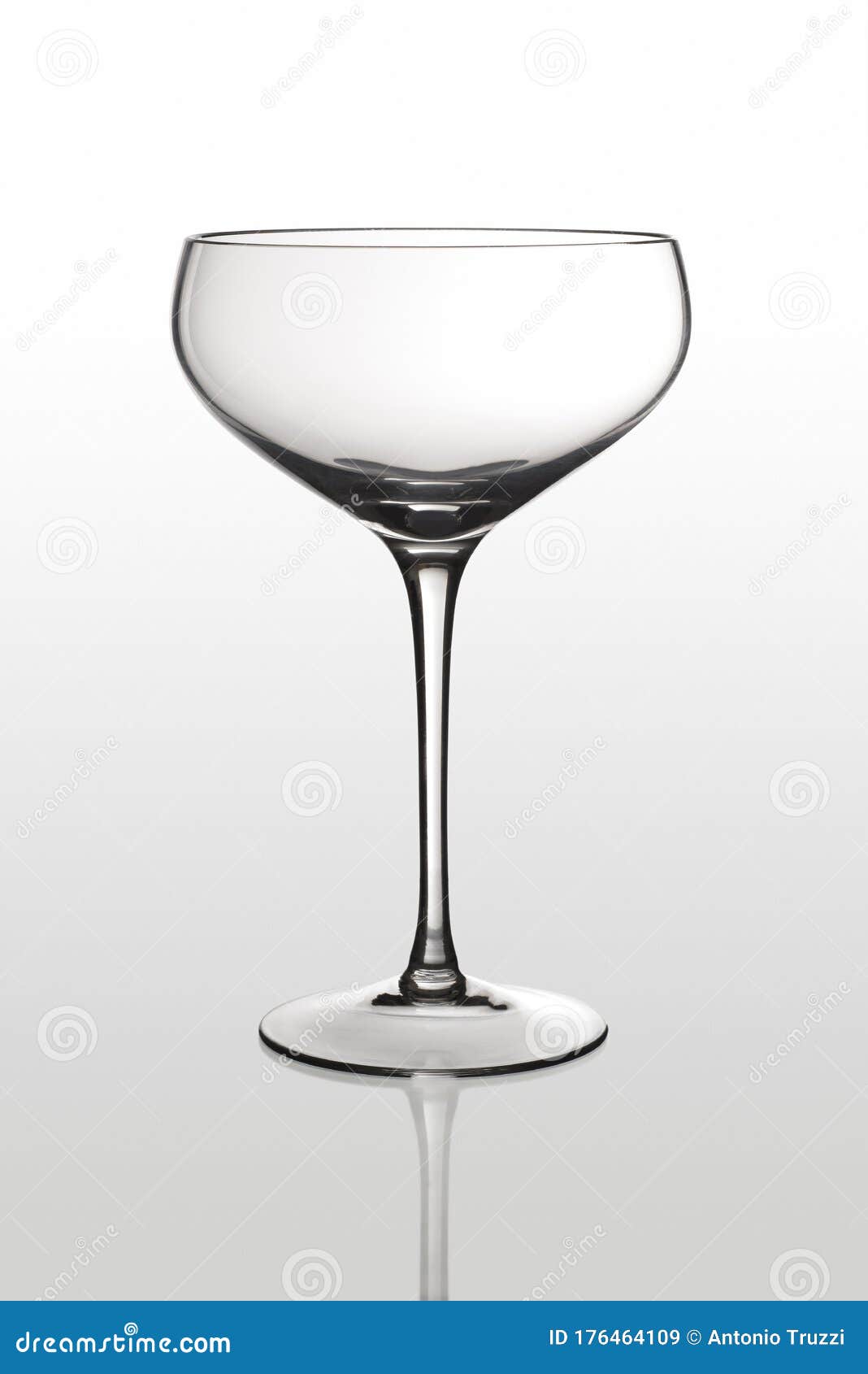 Empty Classic Glass Cup for Champagne Stock Image Image of clear, white 176464109