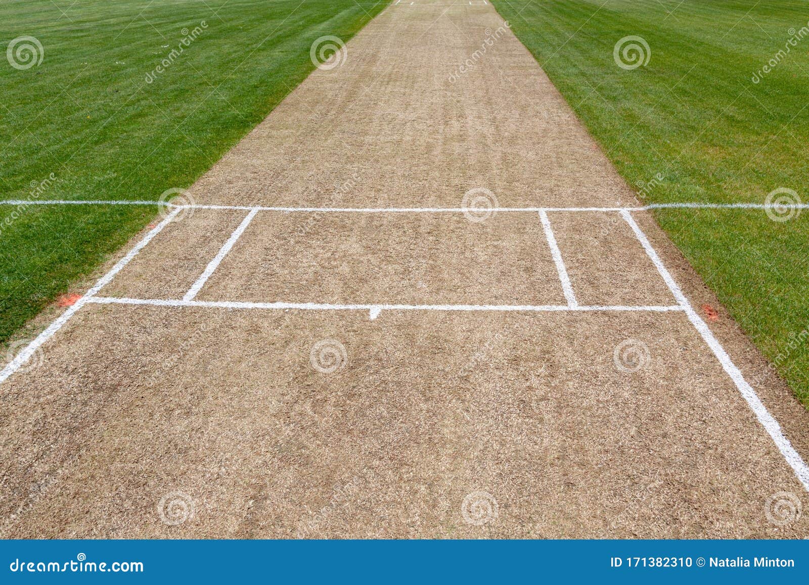 Empty Cricket Pitch Background Green Grass Sport Field Stock Photo - Image  of empty, grass: 171382310