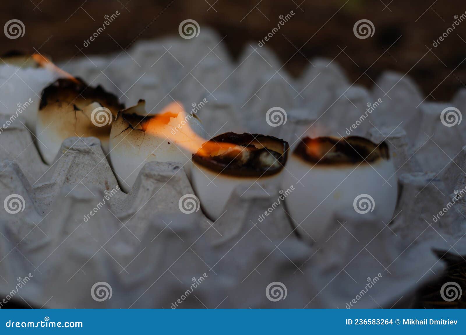 Empty Eggshell Candles Burn in the Egg Tray Stock Photo Image of