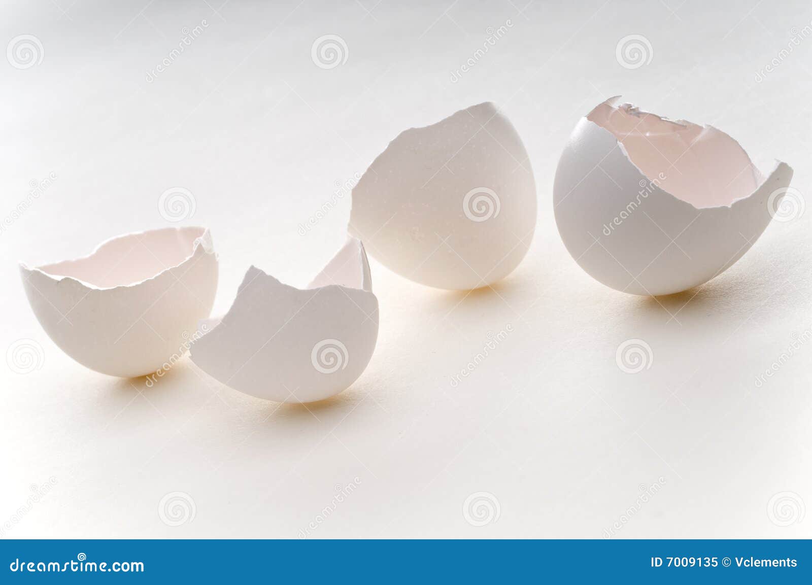 empty eggshells