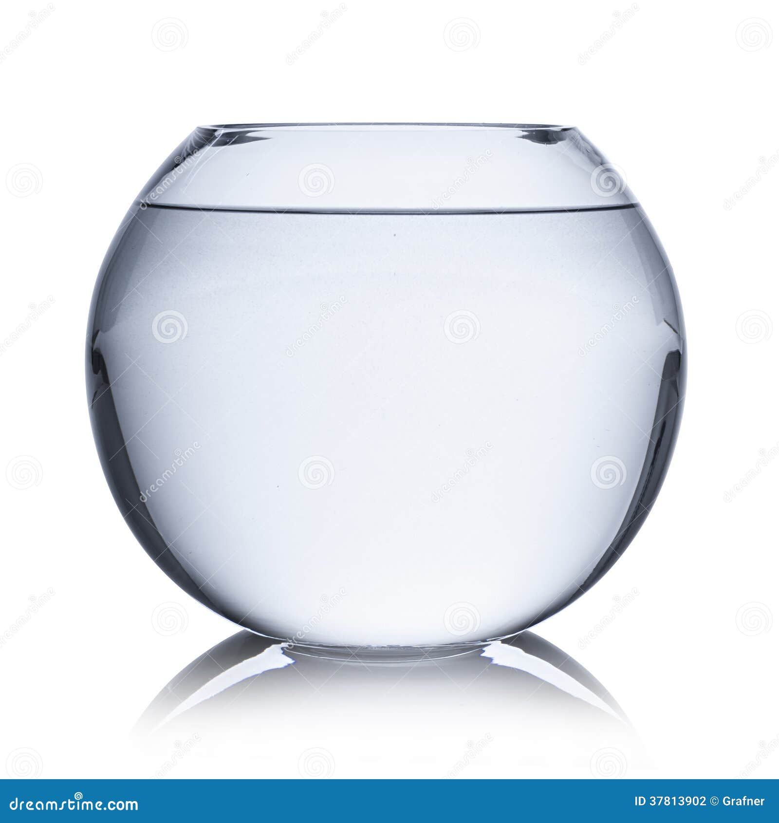 empty fish bowl clipart - photo #41