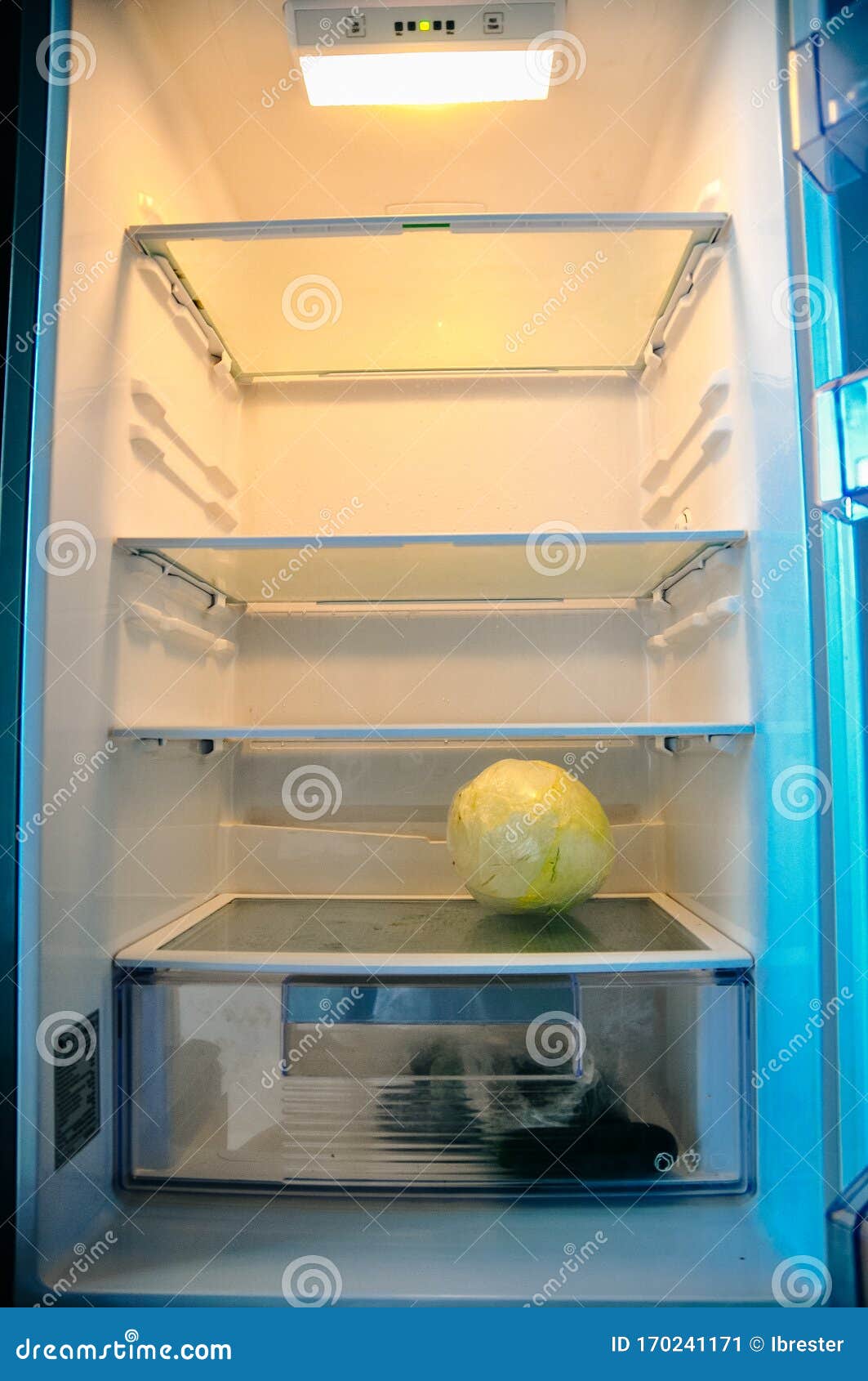 Empty Fridge With Green Cabbage Inside Stock Image Image Of Fridge Inside 170241171