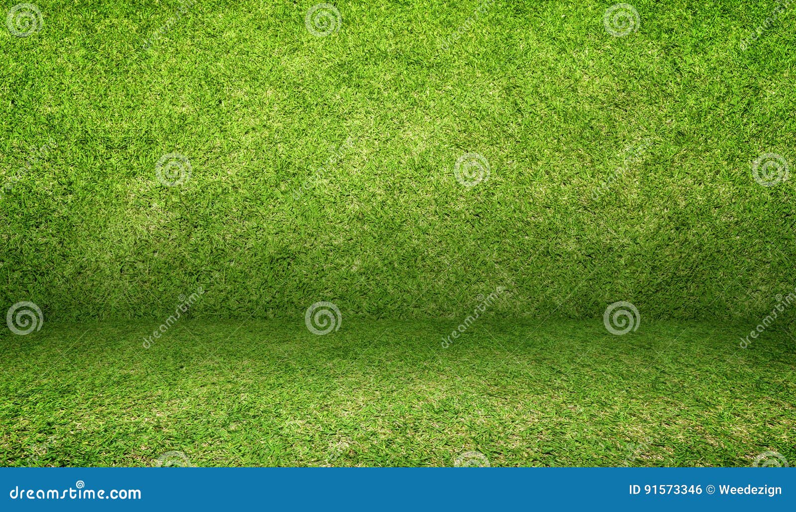 empty grass room,mock up template for display of product or adding text