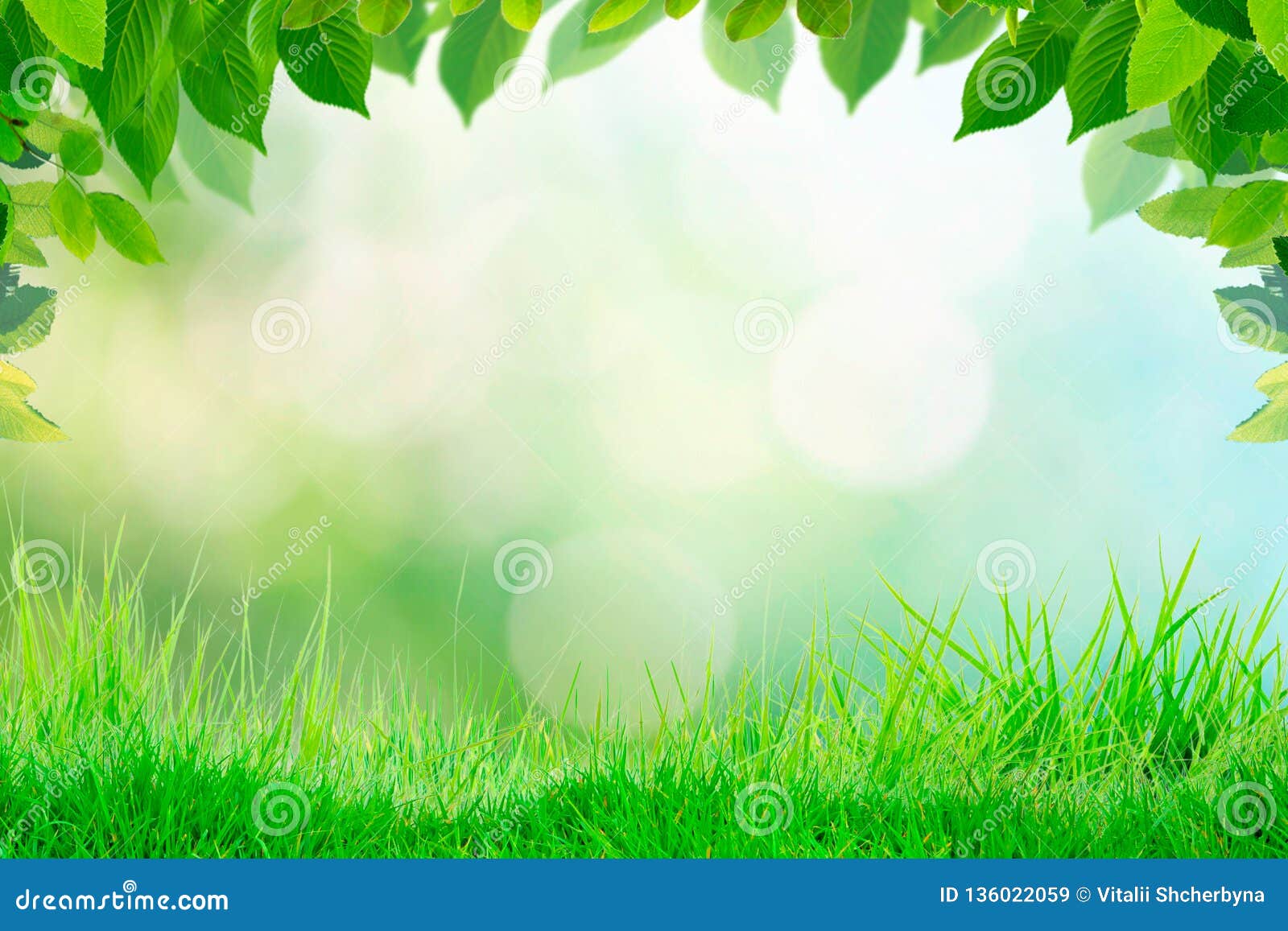 Empty Grass Top with Blur Park Green Nature Background Bokeh Light,Mock Up  for Display or Montage of Product,Banner or Header for Stock Image - Image  of table, blurred: 136022059