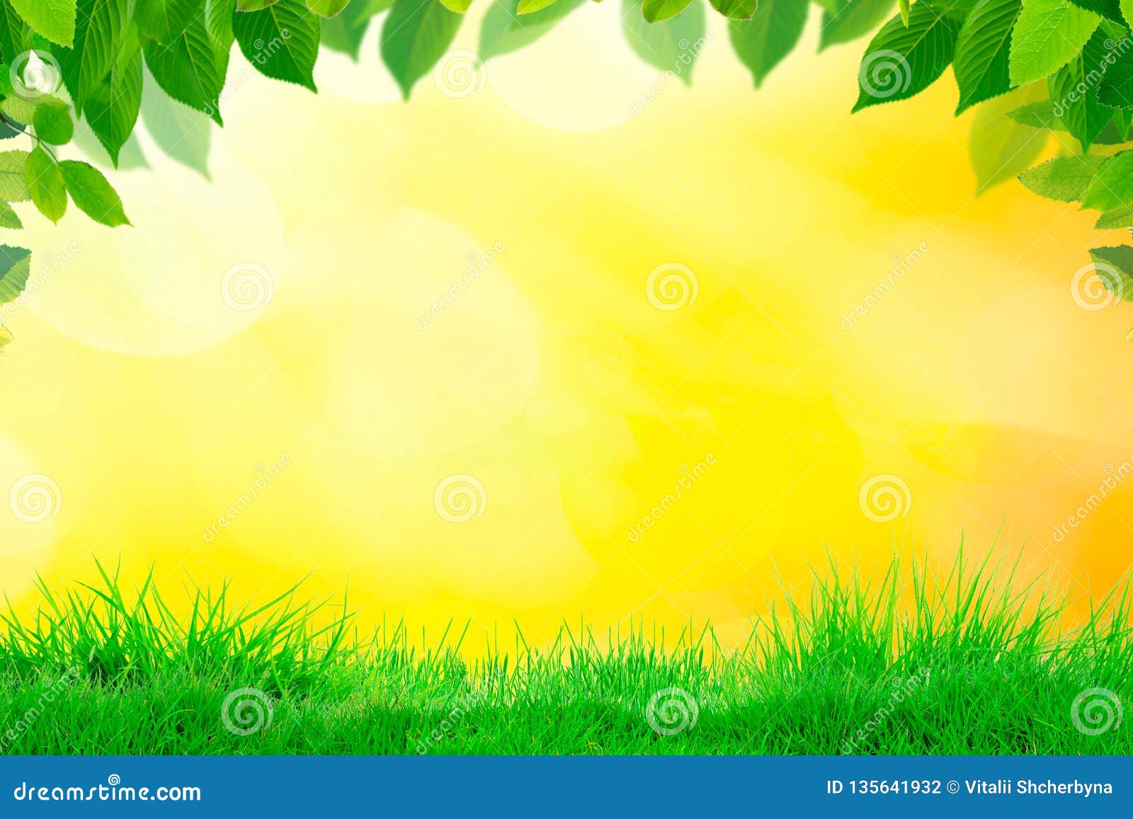 Empty Grass Top with Blur Park Yellow Nature Background Bokeh ...