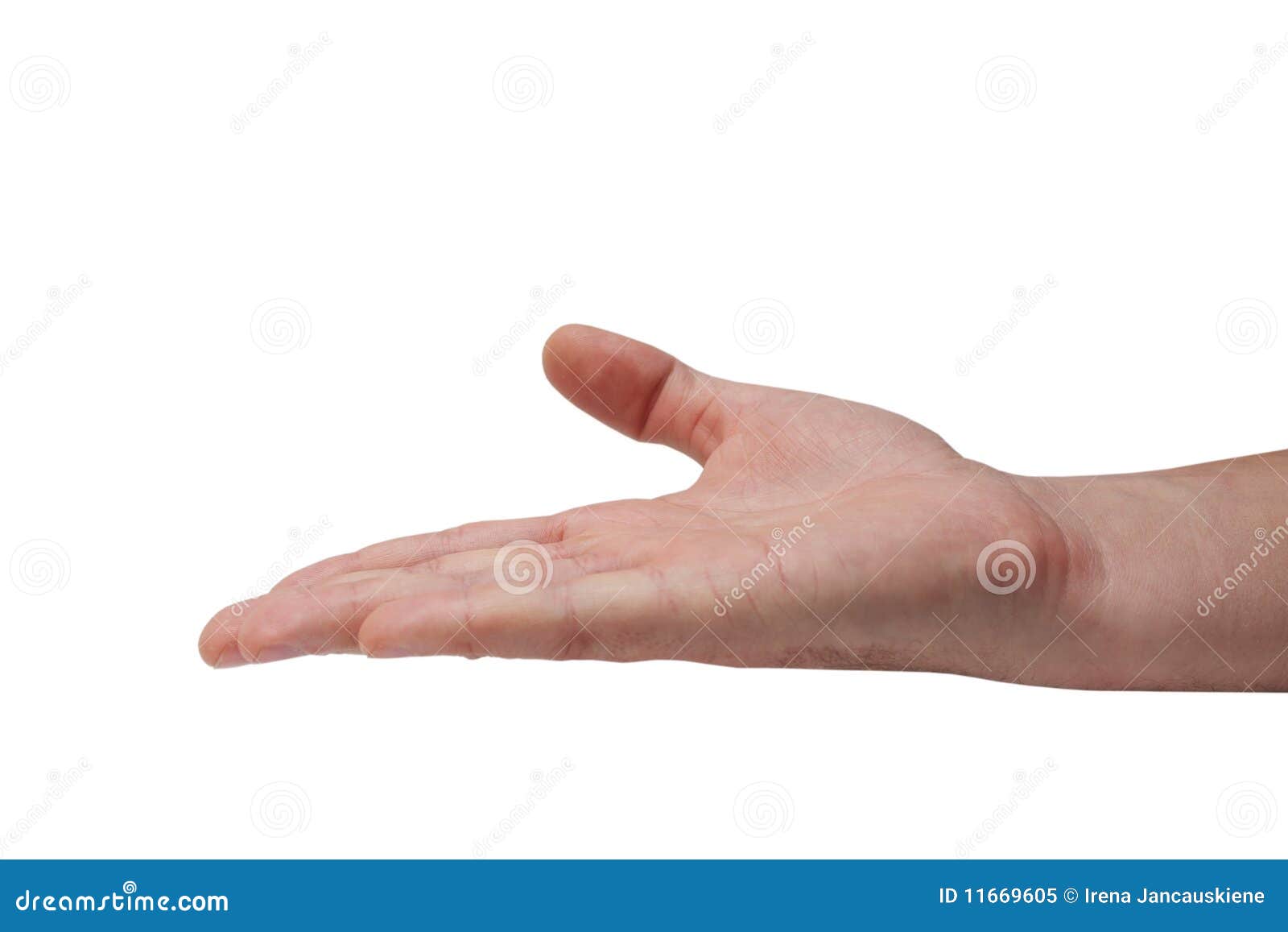 Empty hand stock image. Image of business, alms, adult 11669605