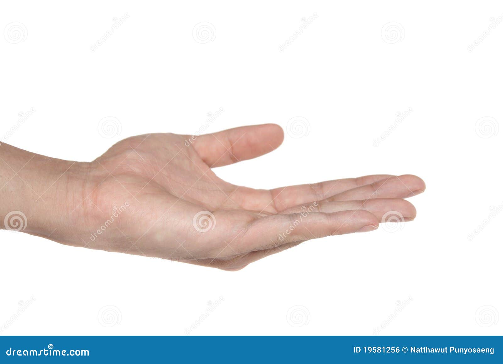 Empty hand isolated stock photo. Image of metaphors, concept 19581256