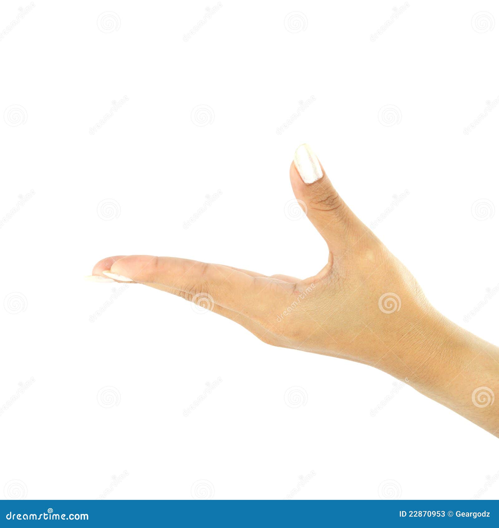 Empty hand isolated stock image. Image of giving, hand 22870953